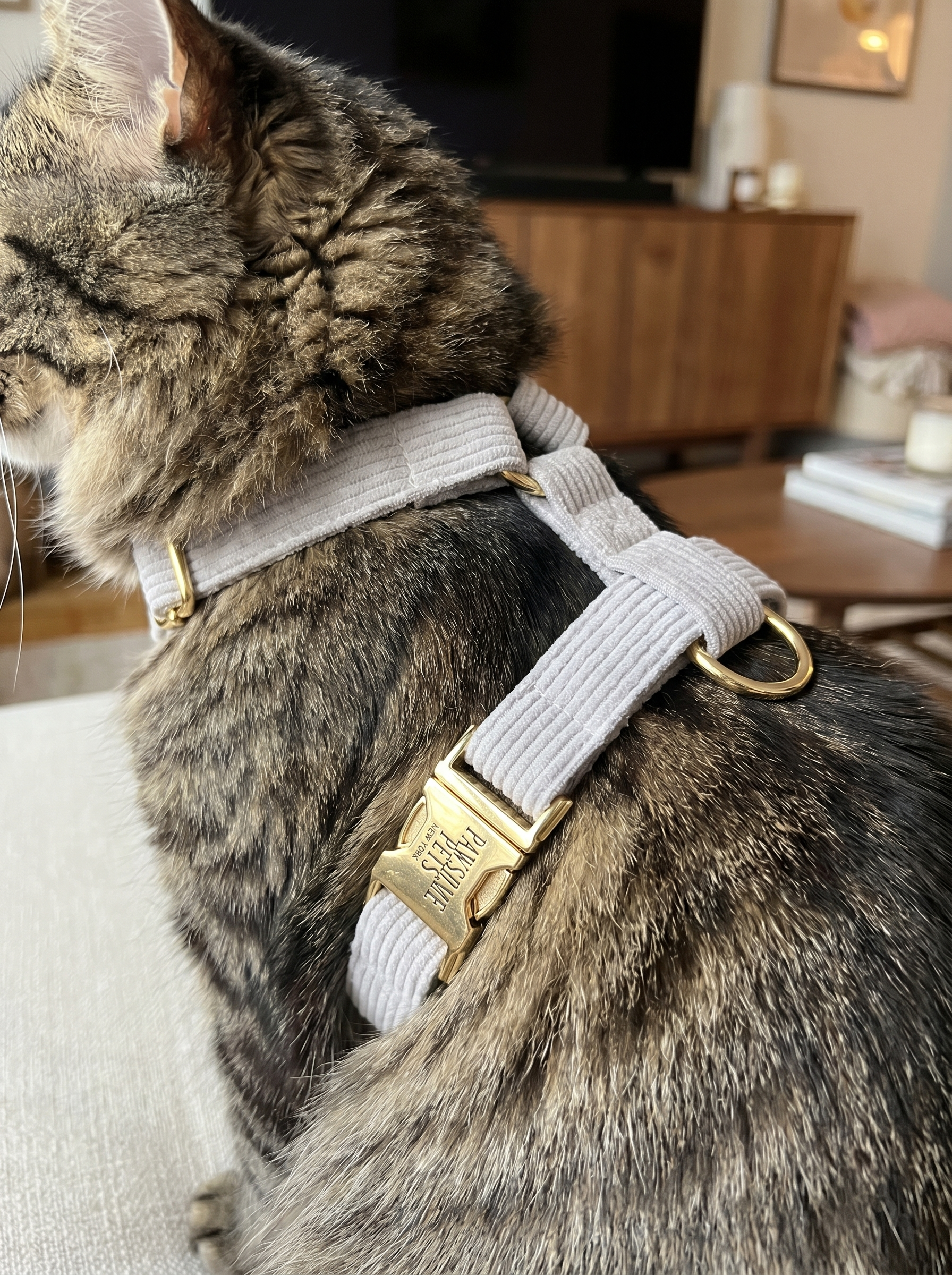 Step In Harness - Light Grey