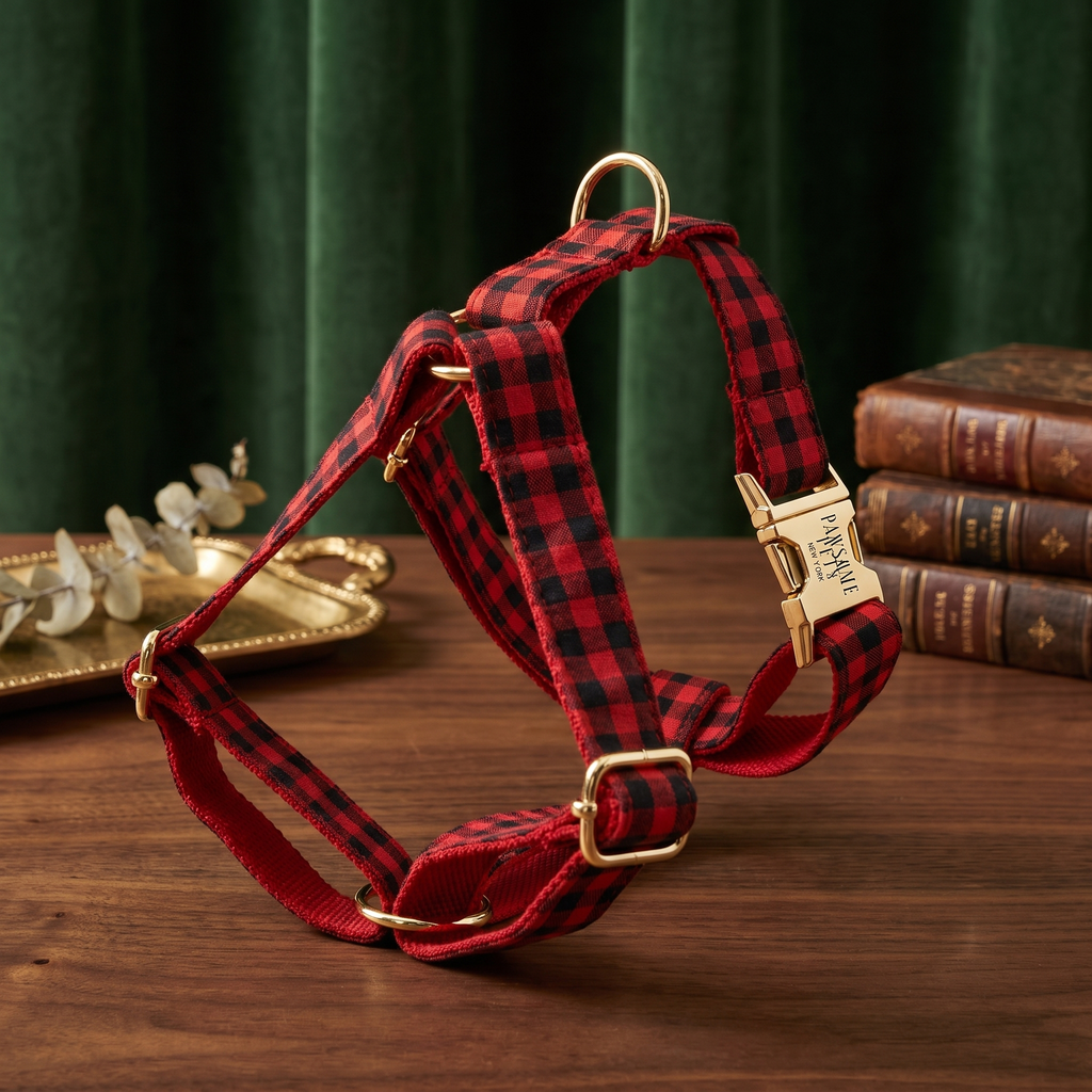 Step In Harness - Red Black Stripe