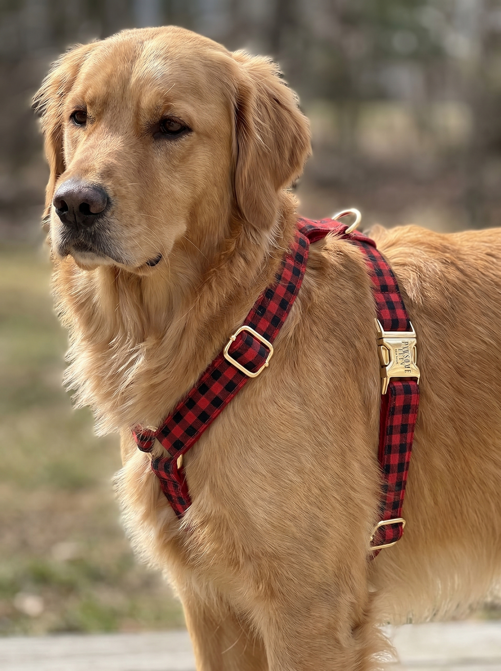 Step In Harness - Red Black Stripe