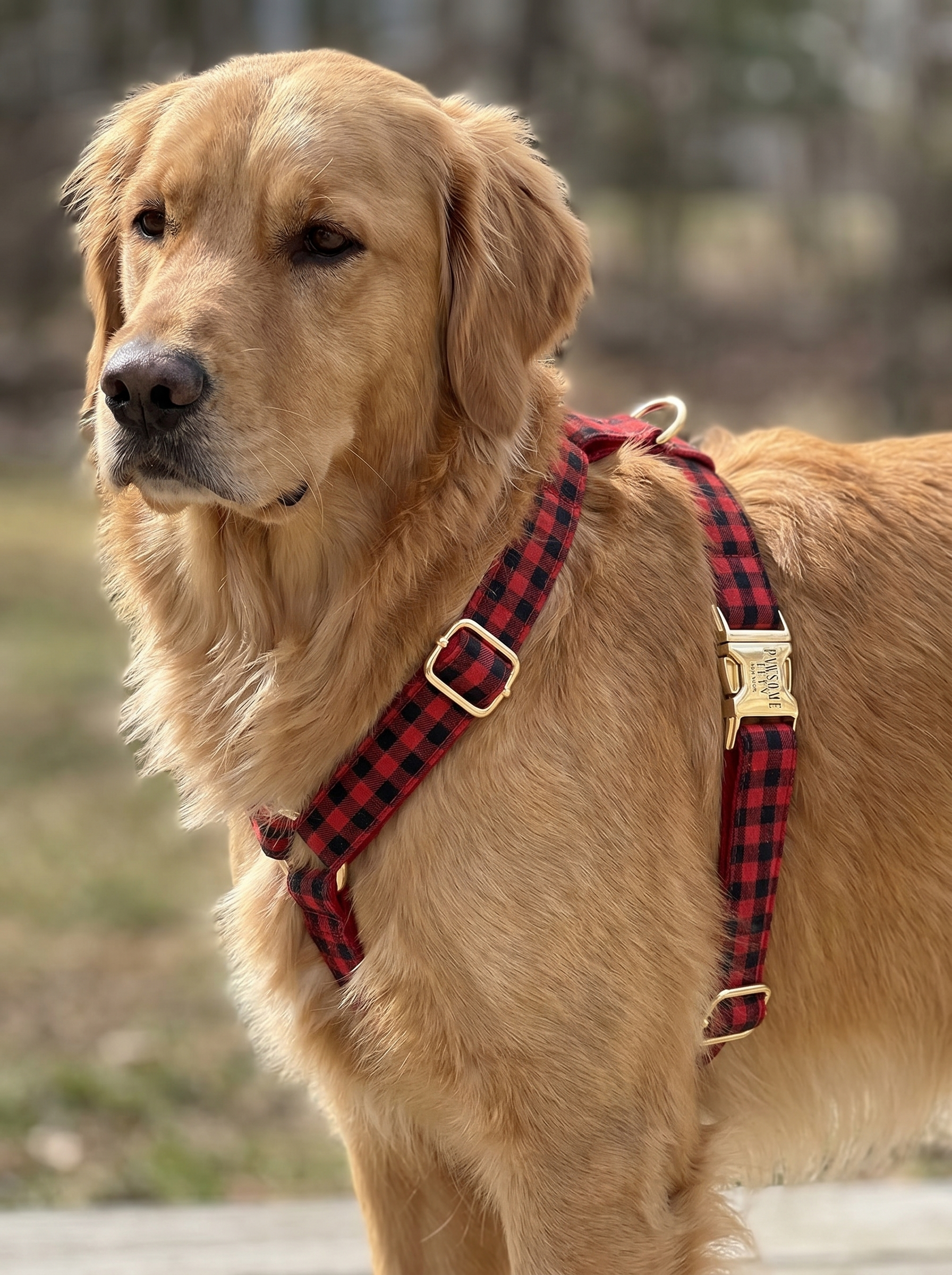 Step In Harness - Red Black Stripe