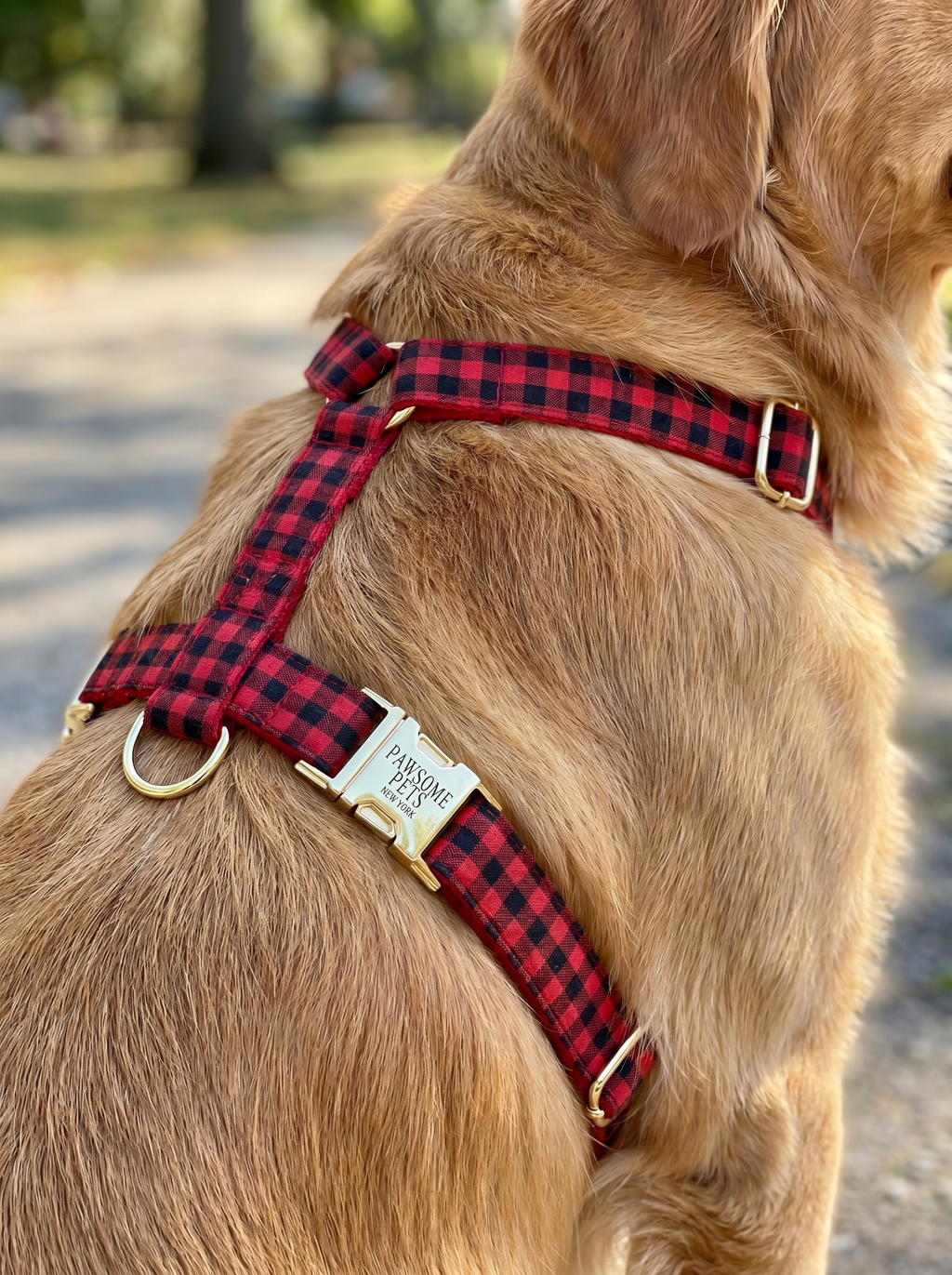 Step In Harness - Red Black Stripe