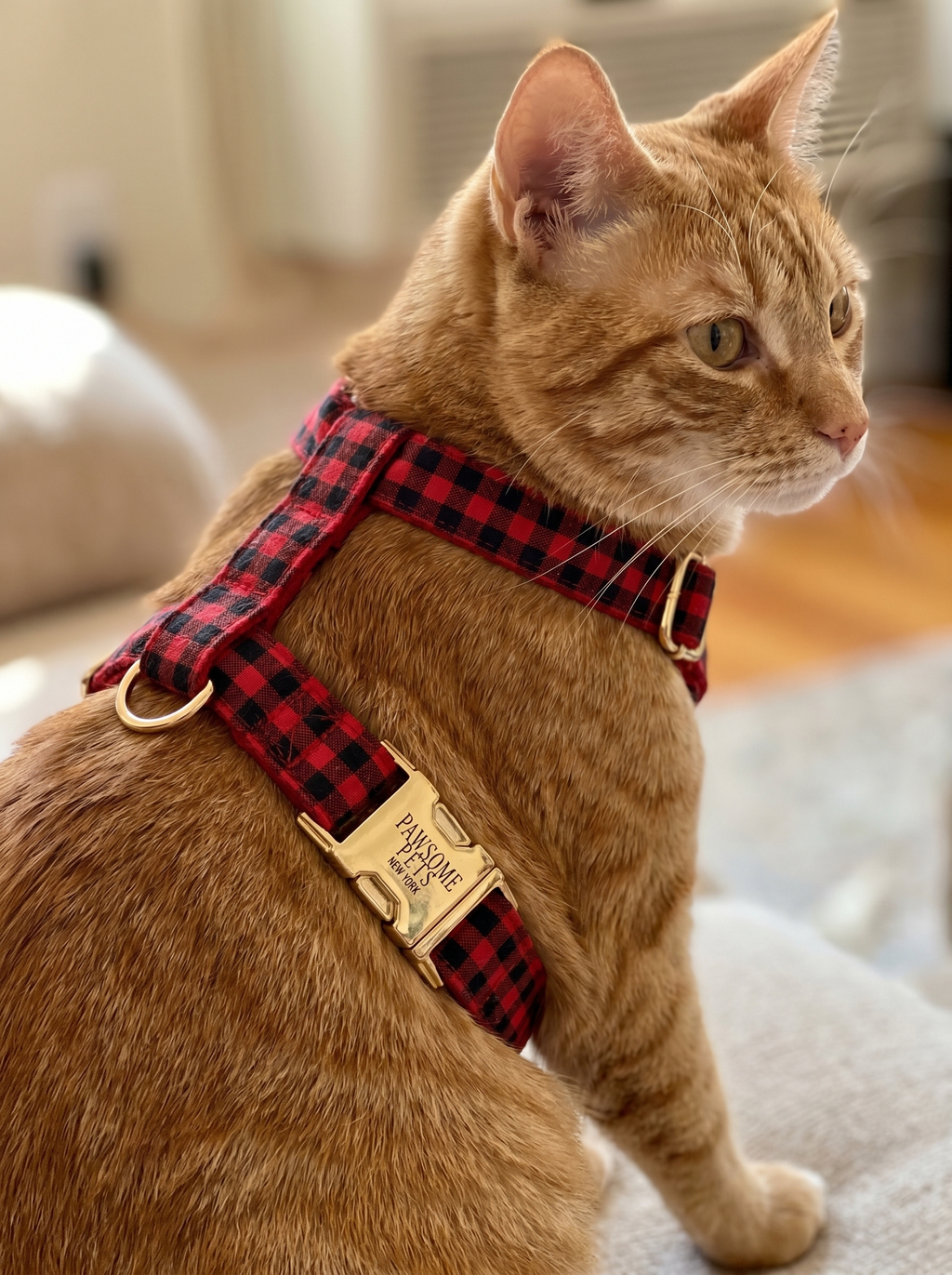 Step In Harness - Red Black Stripe