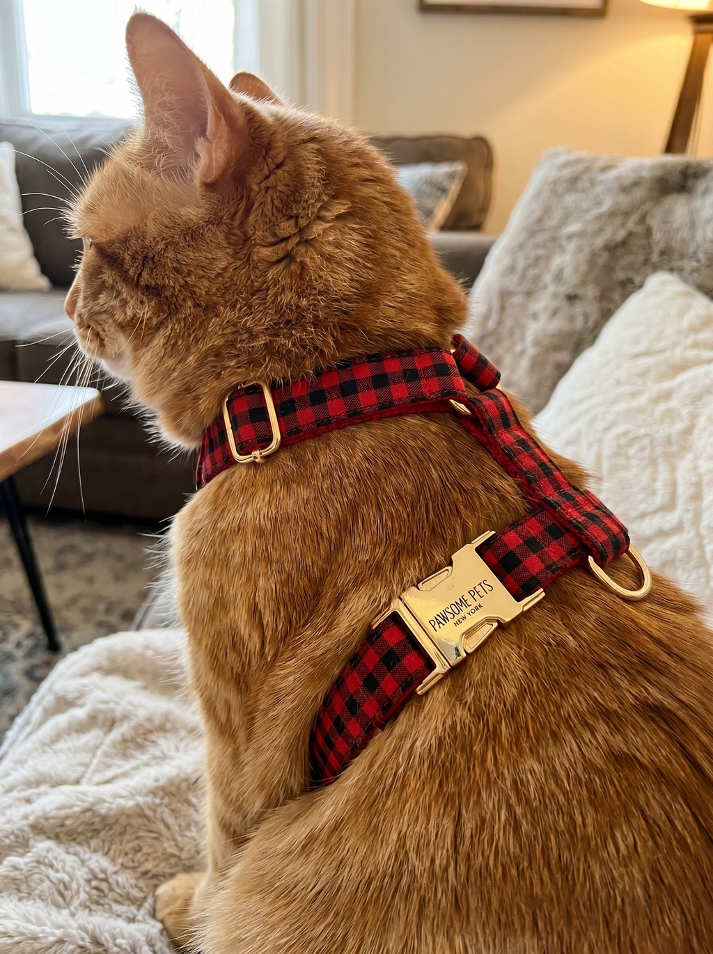Step In Harness - Red Black Stripe