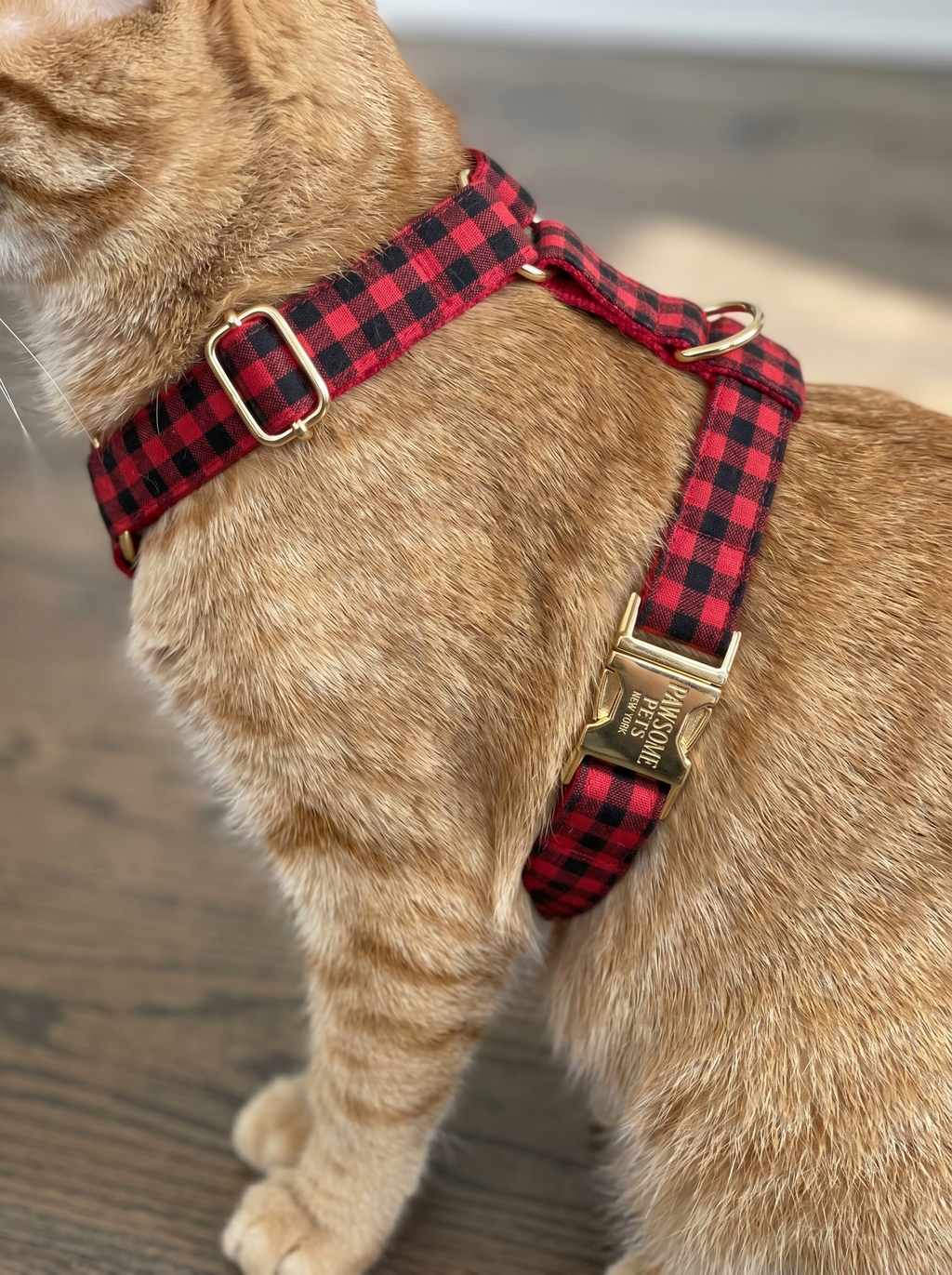 Step In Harness - Red Black Stripe