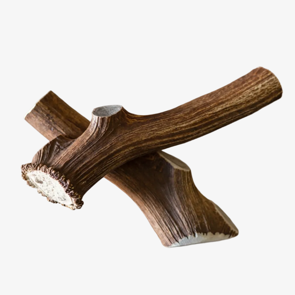 T-Rex Elk Antler Chew