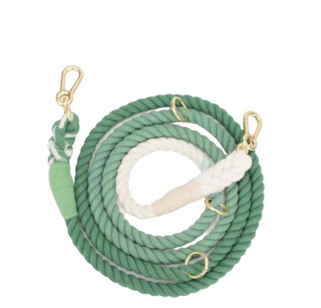 The Urban Hands-Free Rope Leash – Ombre Green