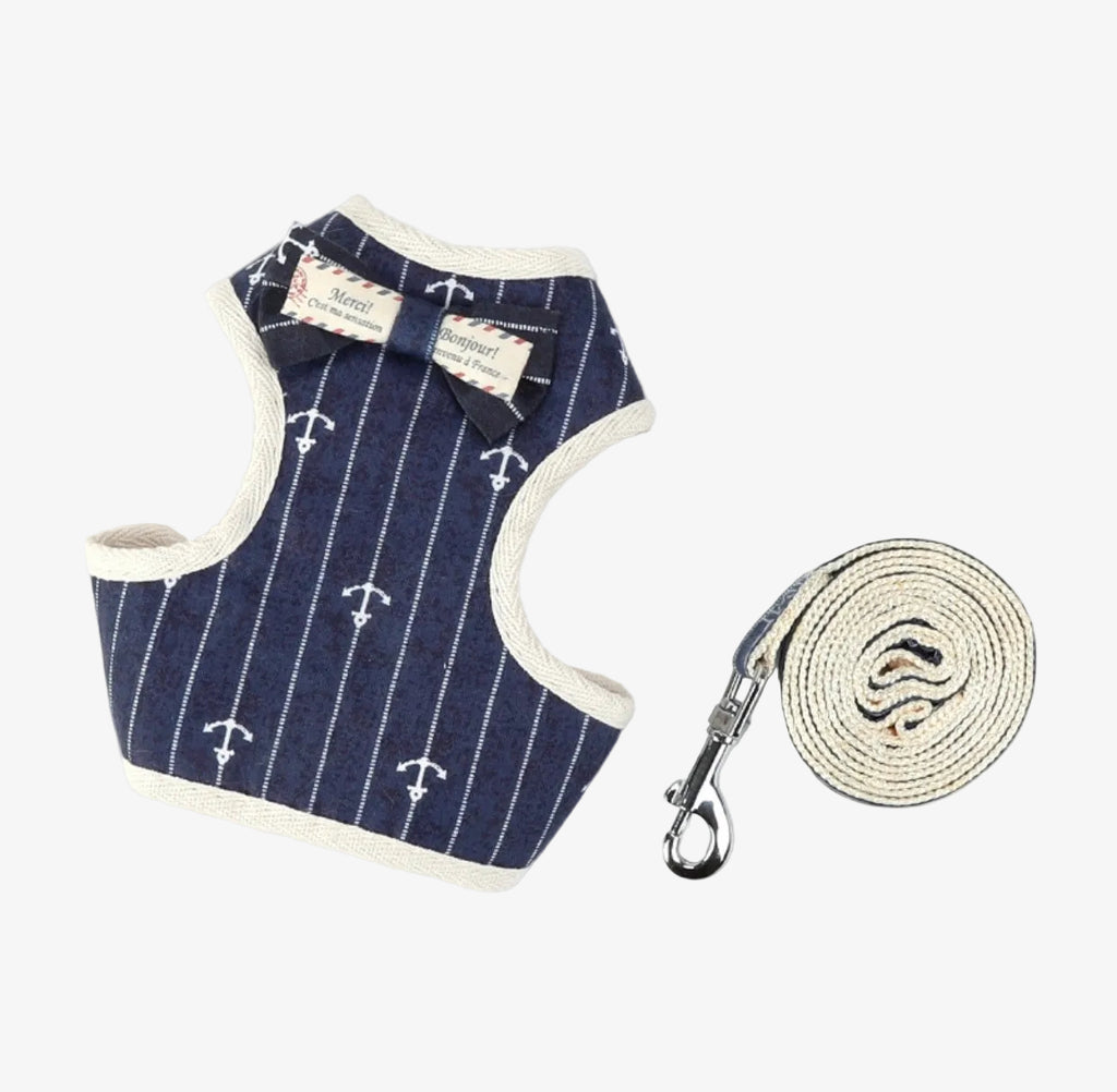 PAWSOME Cats Harness and Leash Set