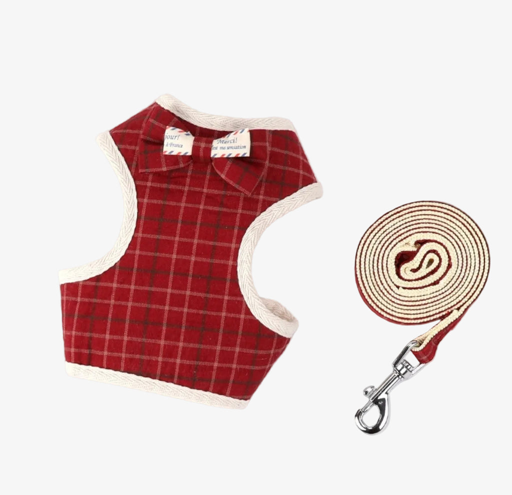 PAWSOME Cats Harness and Leash Set