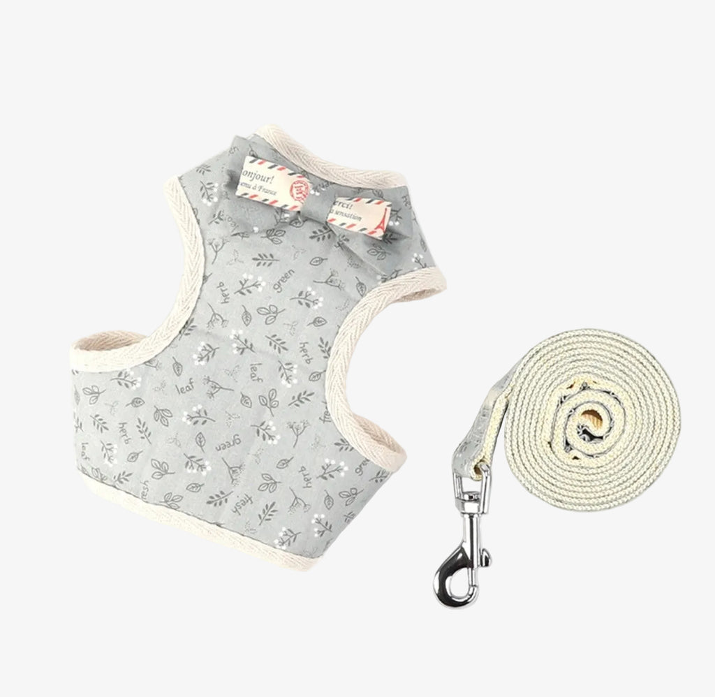 PAWSOME Cats Harness and Leash Set