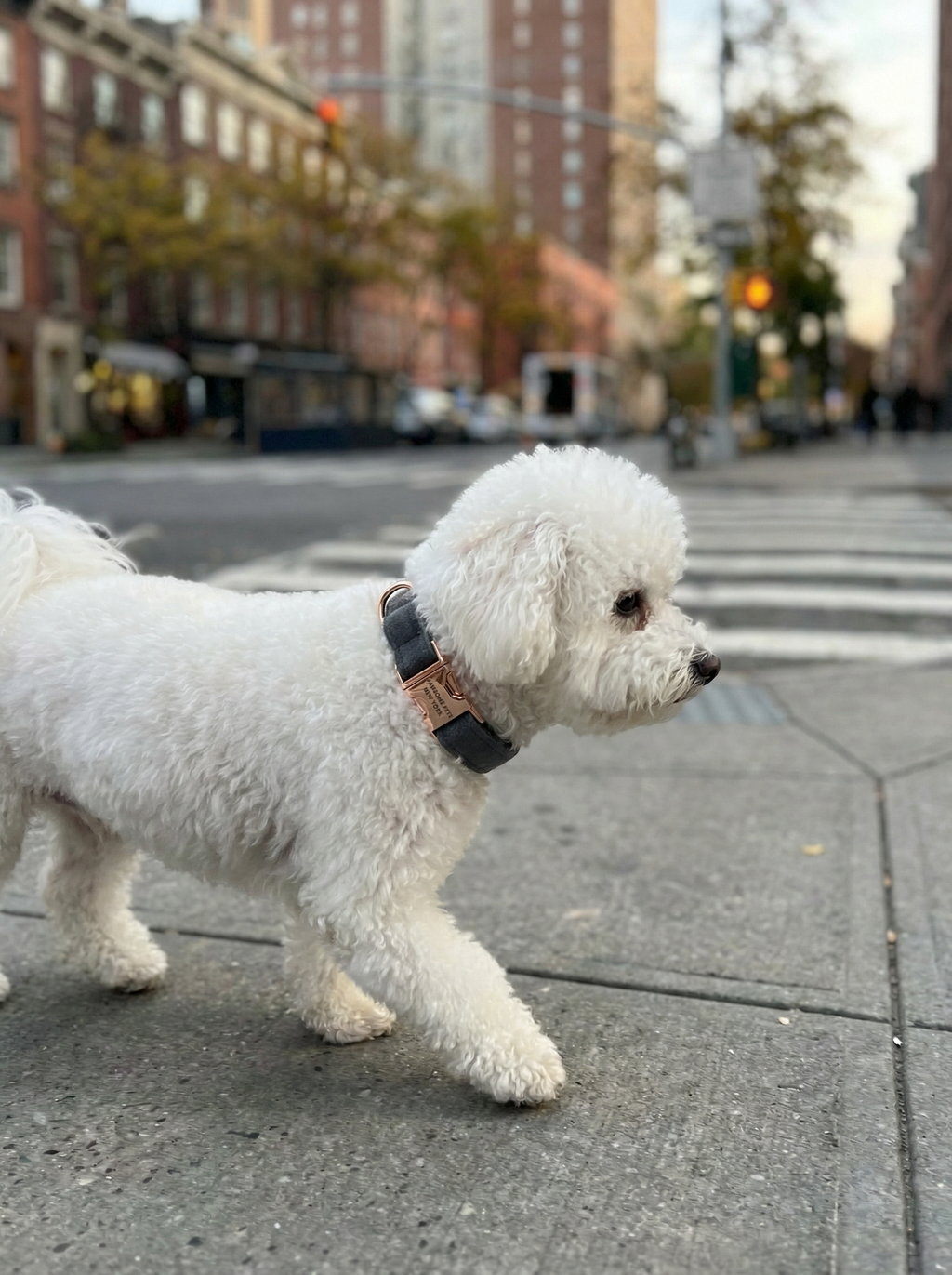 Dog & Cat Collar – Deep Plum (Ashy Gray)