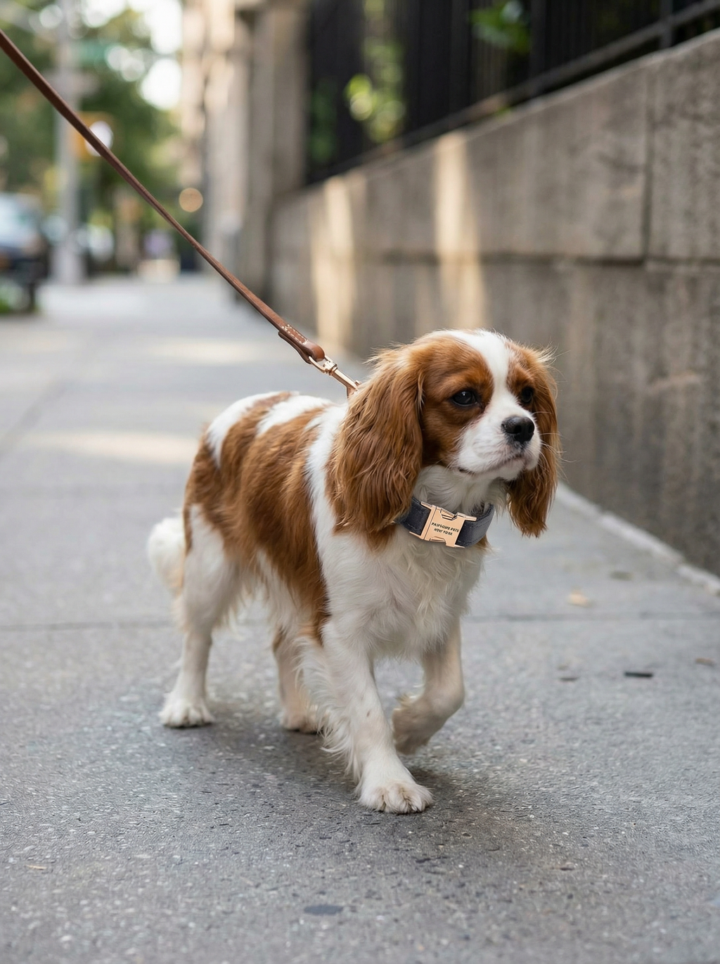 Dog & Cat Collar – Deep Plum (Ashy Gray)