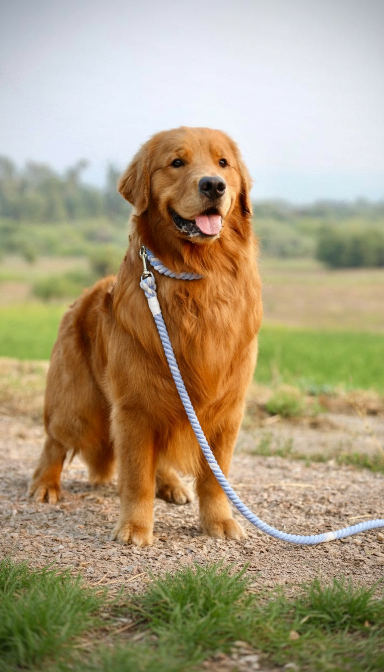 The Rope Leash – Sea Blue