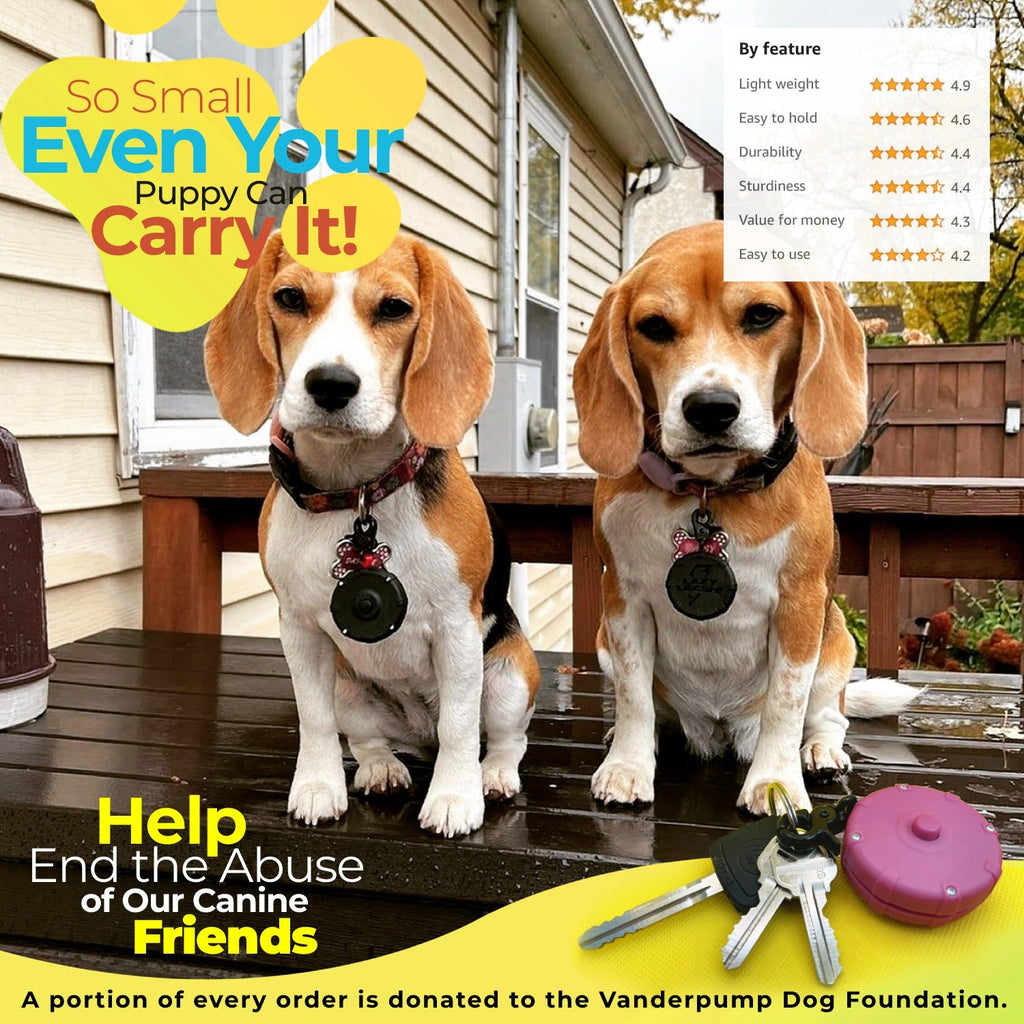 Feel the Freedom, Unleash the Power.