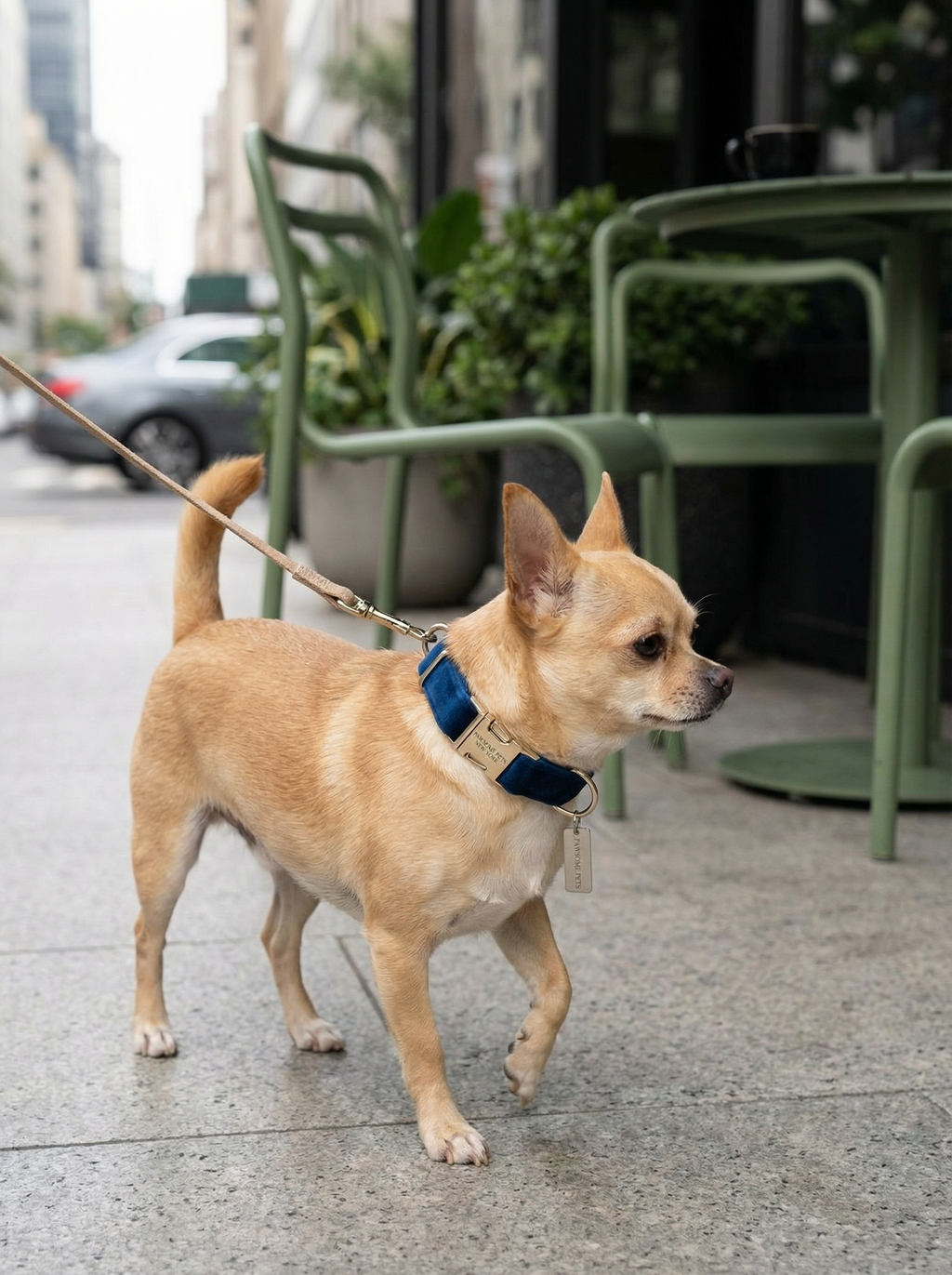 Small Dog & Cat Collar – Dark Blue Velvet