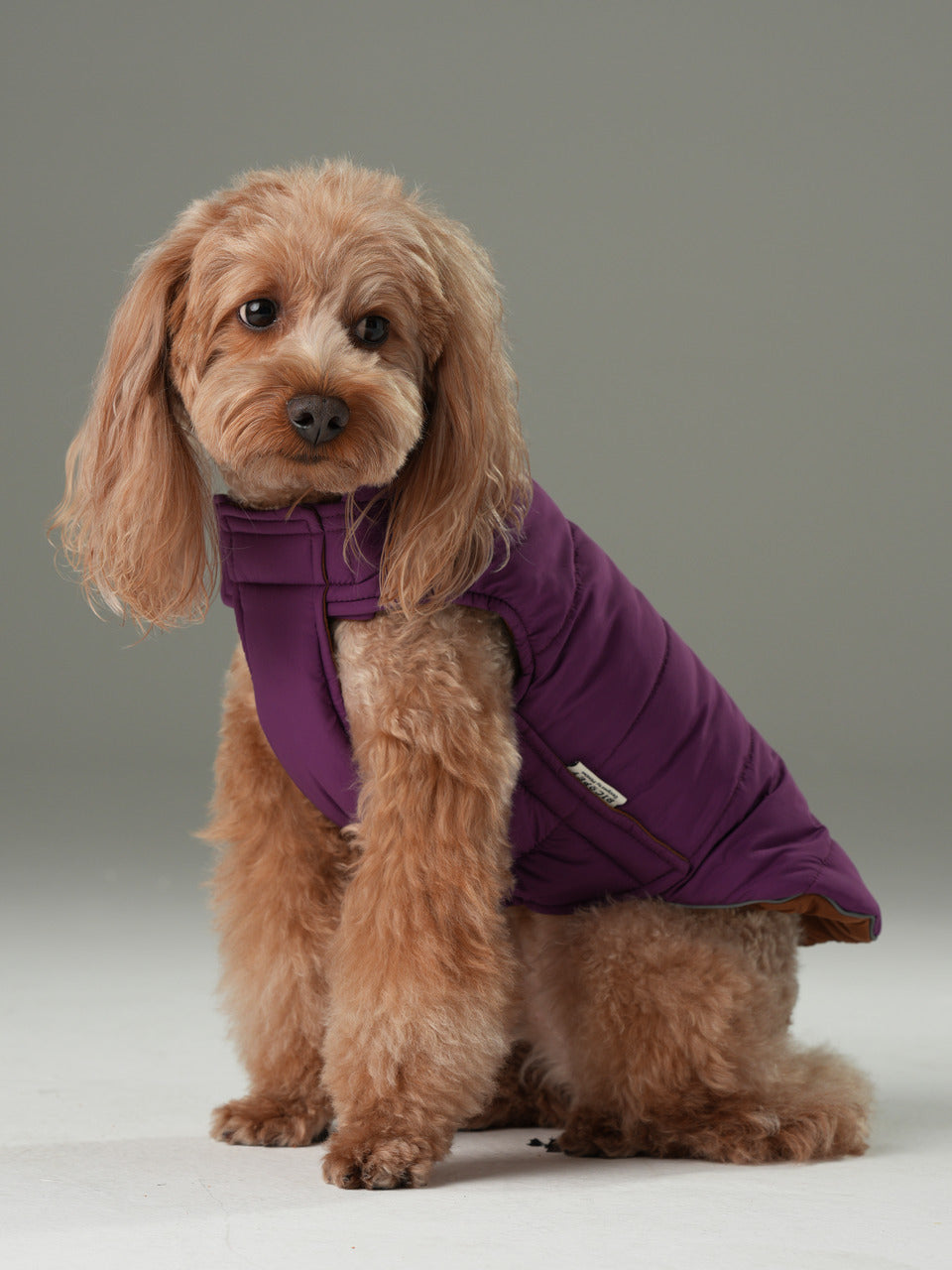The Reversible Vest Jacket – Purple & Caramel