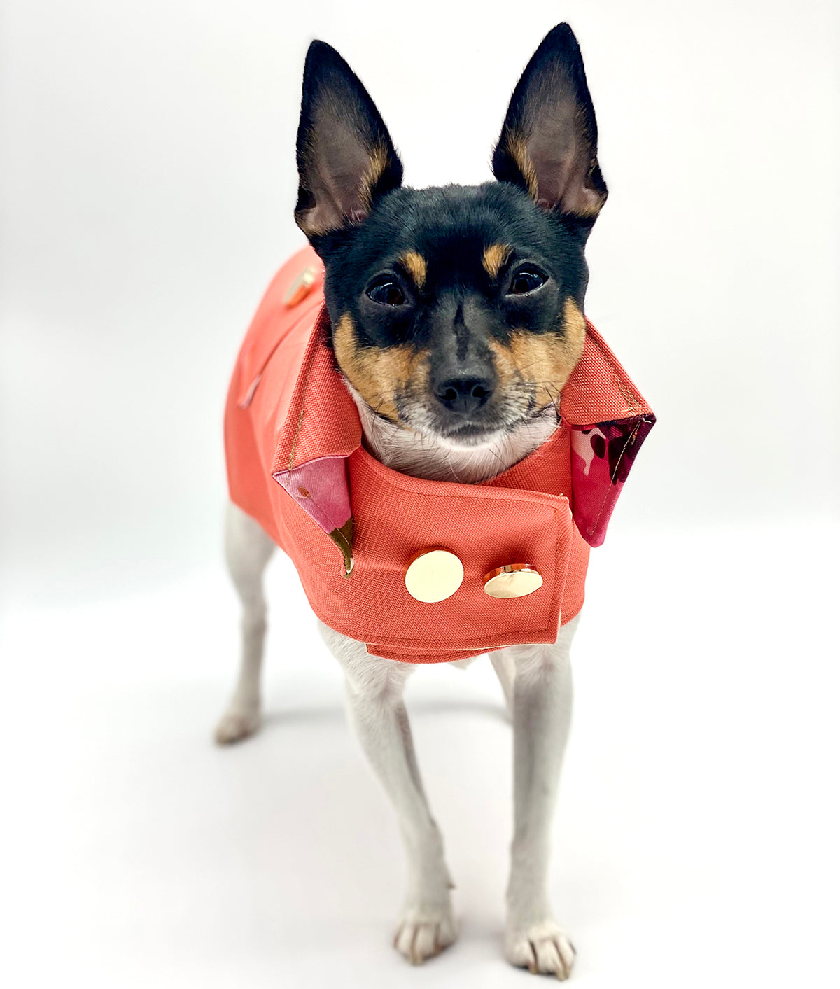 DCNY Coral Trench Coat With Peachskin Lining