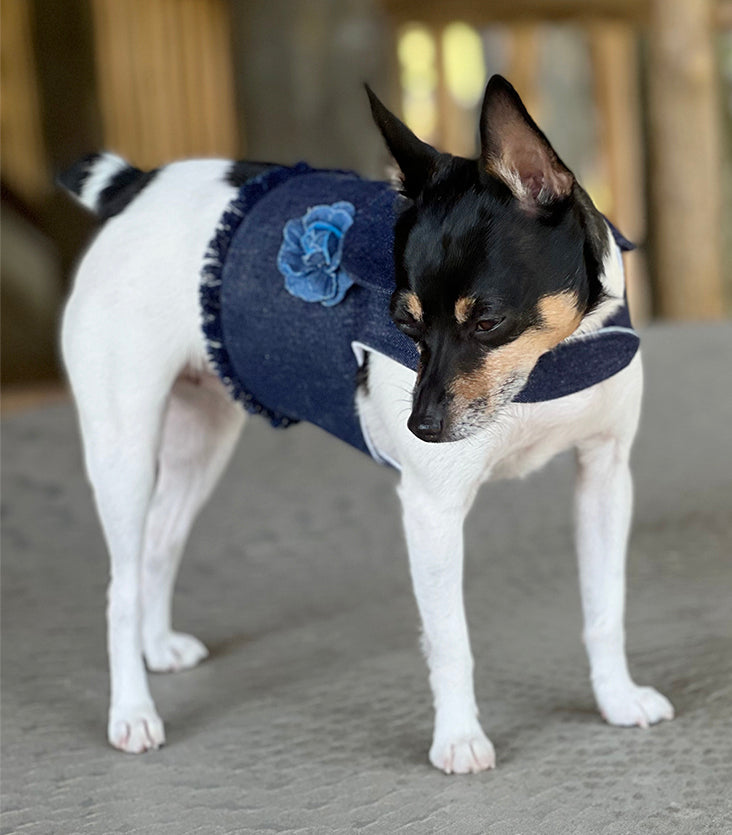 DCNY Denim Flower Harness Vest