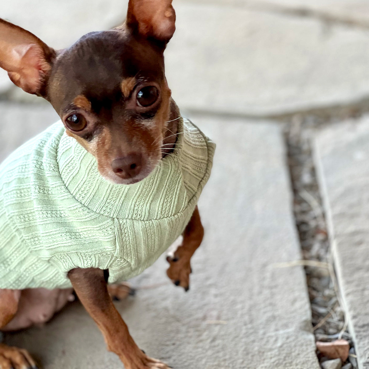 Mock Neck Sleeveless Sweater Tank - Mint