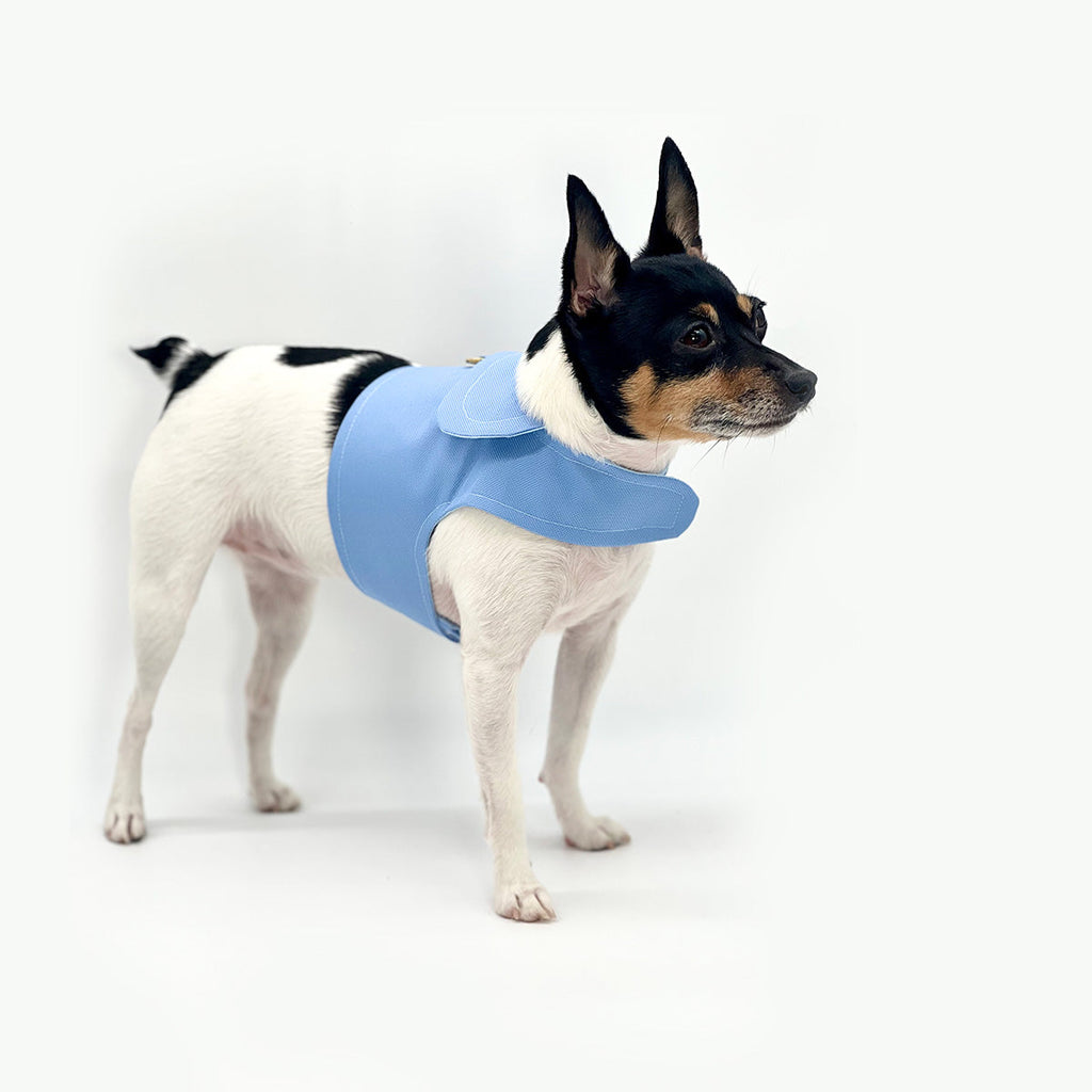 Periwinkle Harness Vest