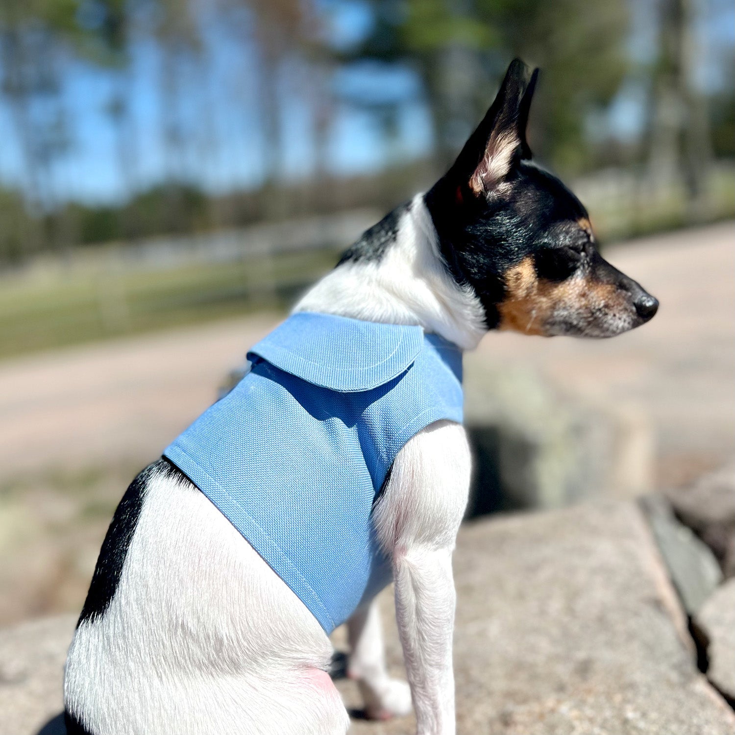 DCNY Periwinkle Harness Vest