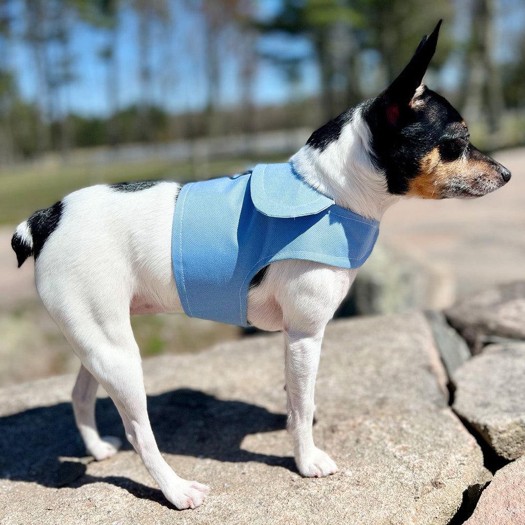 Periwinkle Harness Vest