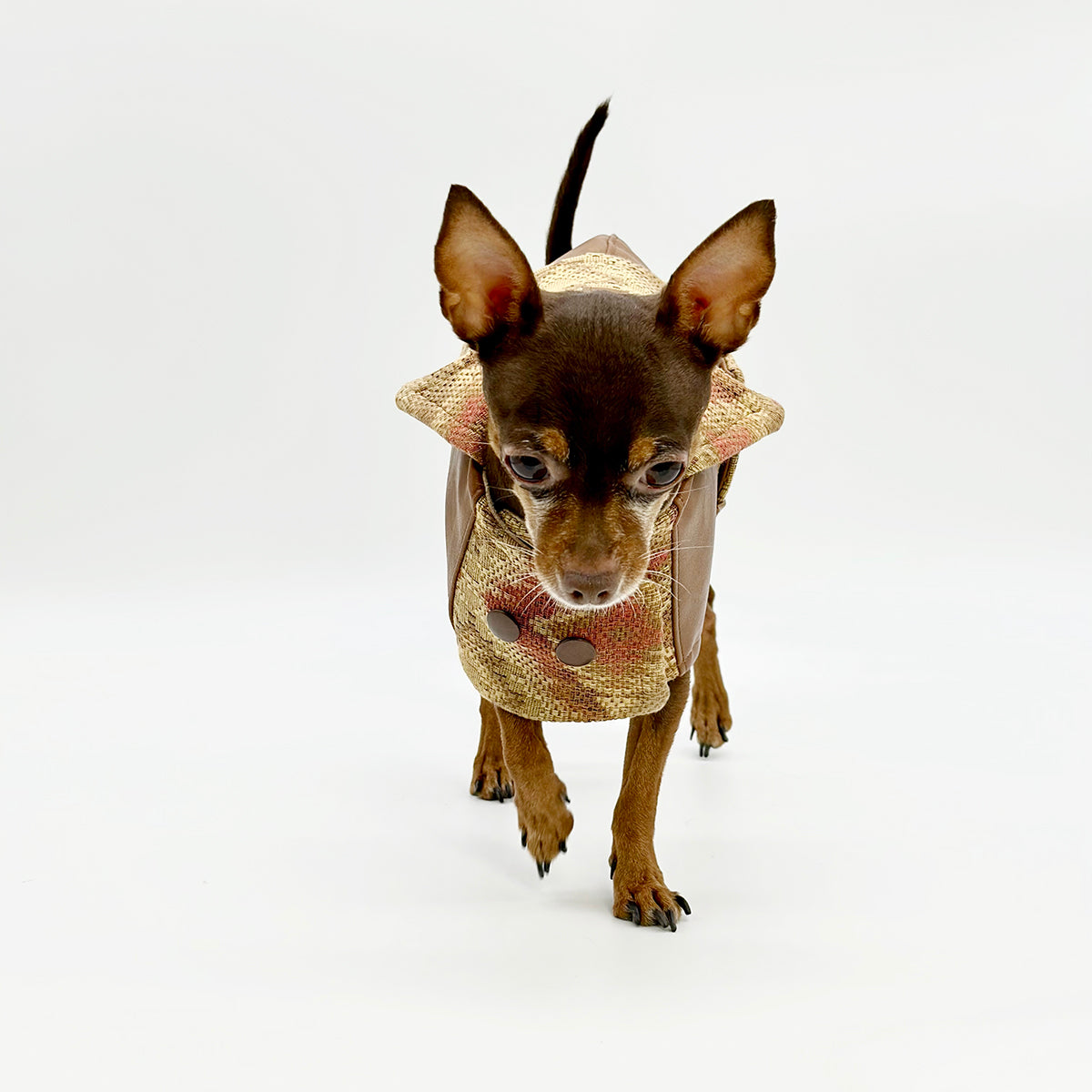 “Canyon Cognac” Vegan Leather Autumn Jacket - Limited Edition