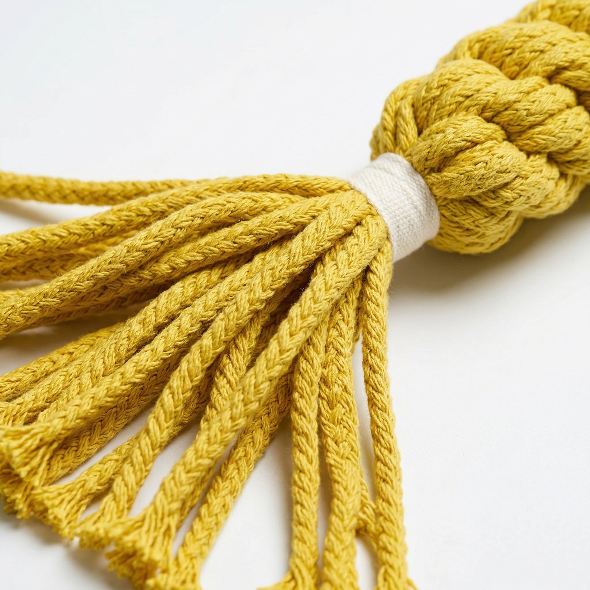 Jumbo Yellow Candy Rope Toy-4