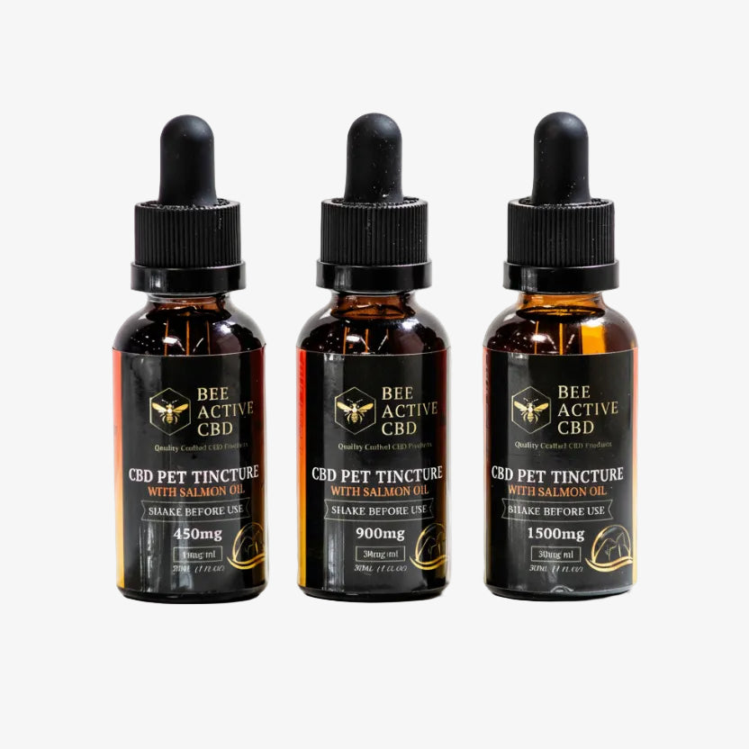 Bee Active CBD Pet Tincture – Salmon Flavor