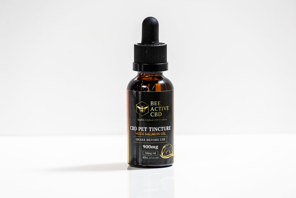 Bee Active CBD Pet Tincture – Salmon Flavor-1