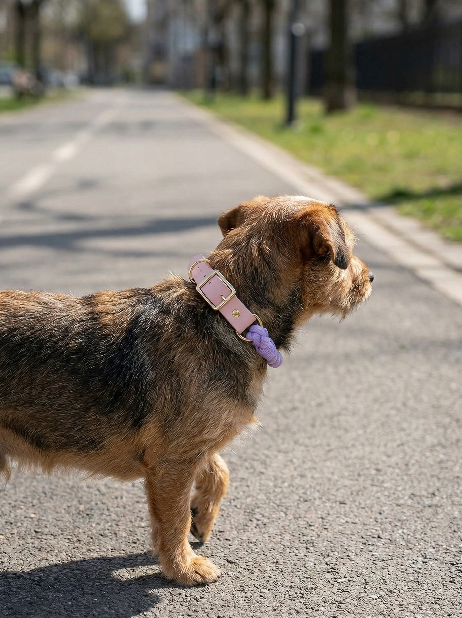 Luxe Royal Leather Rope Collar – Heliotrope