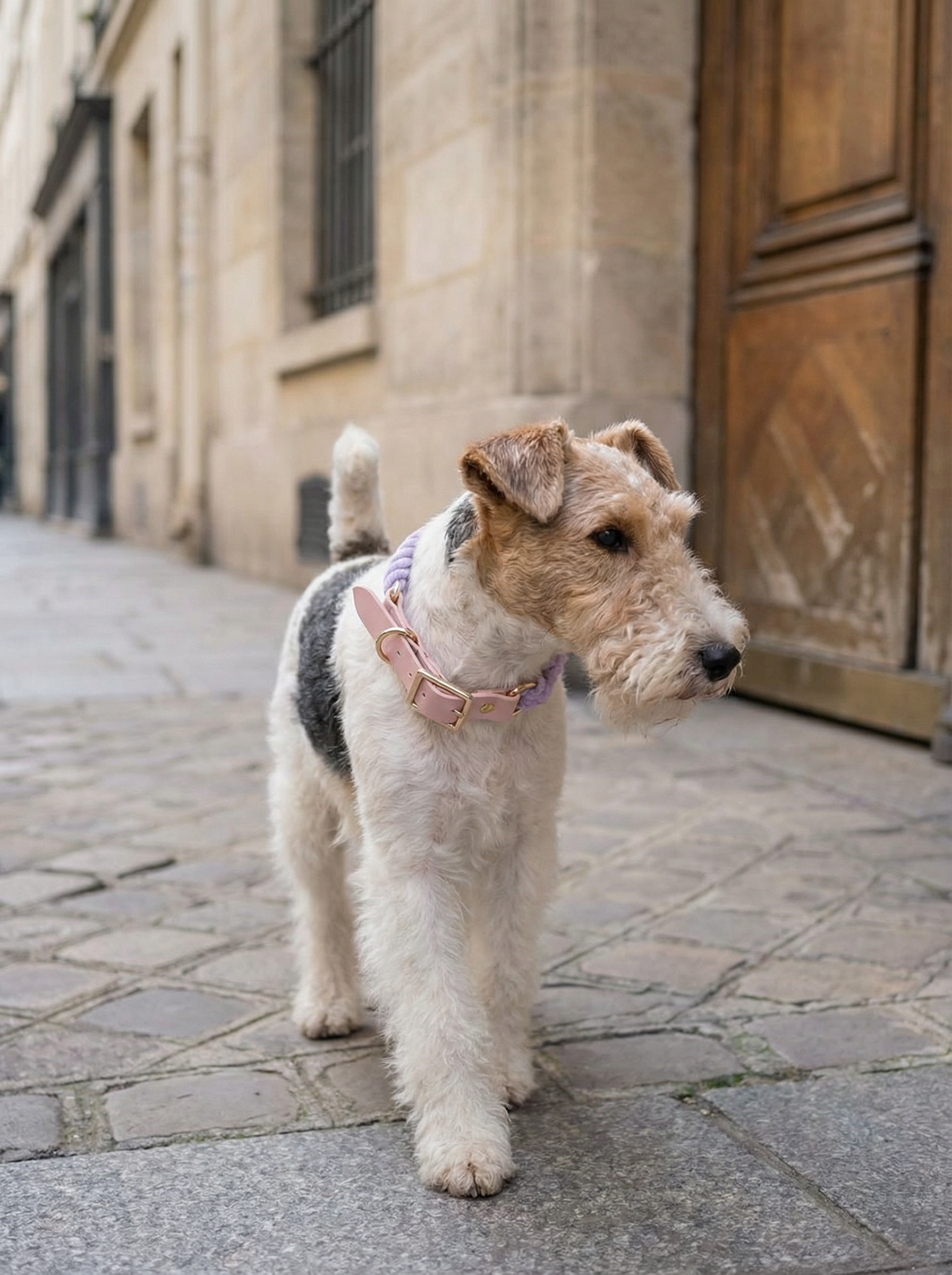 Luxe Royal Leather Rope Collar – Heliotrope