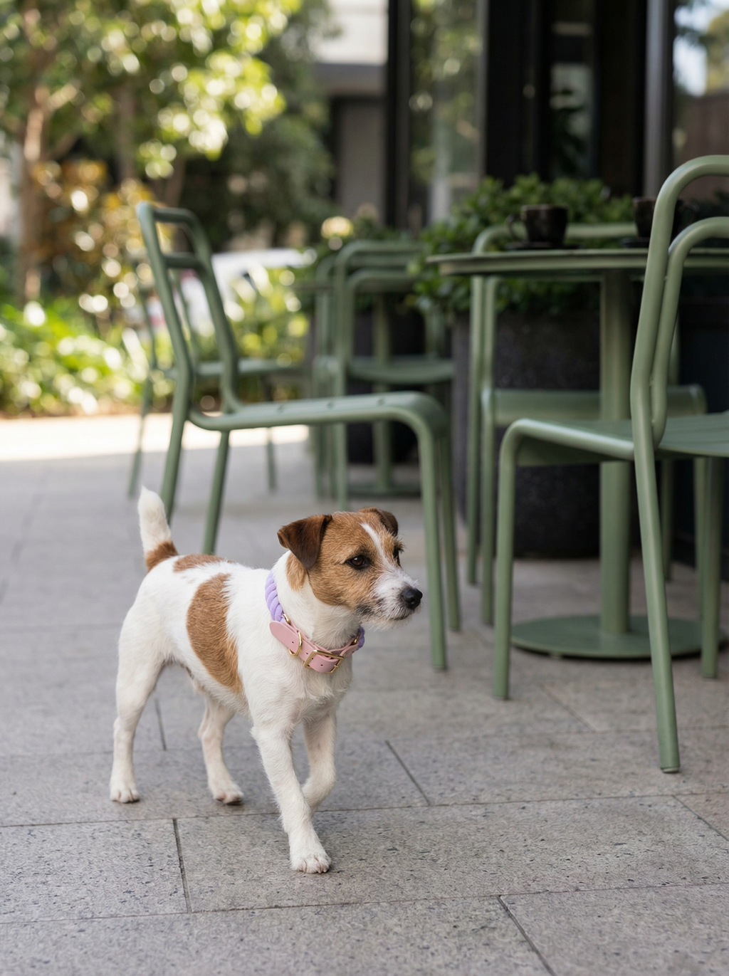 Luxe Royal Leather Rope Collar – Heliotrope