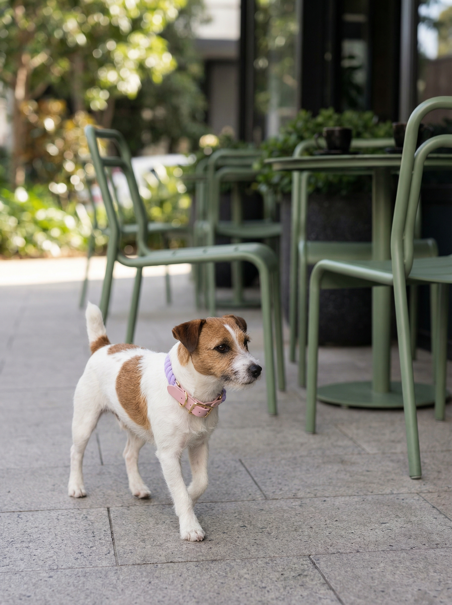 Luxe Royal Leather Rope Collar – Heliotrope
