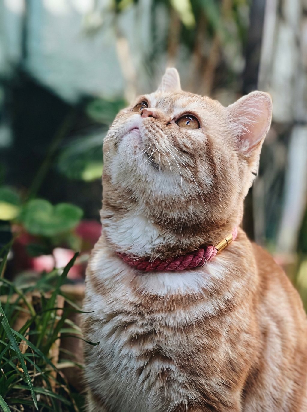 Luxe Royal Leather Rope Collar – Heliotrope