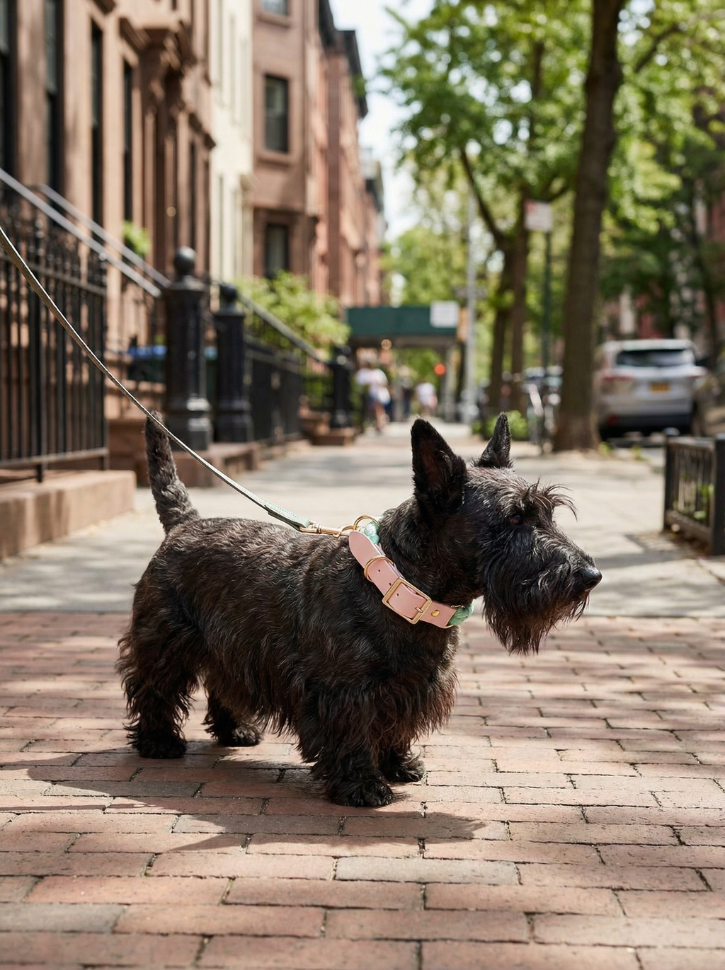 Luxe Royal Leather Rope Collar – Light Green Jade