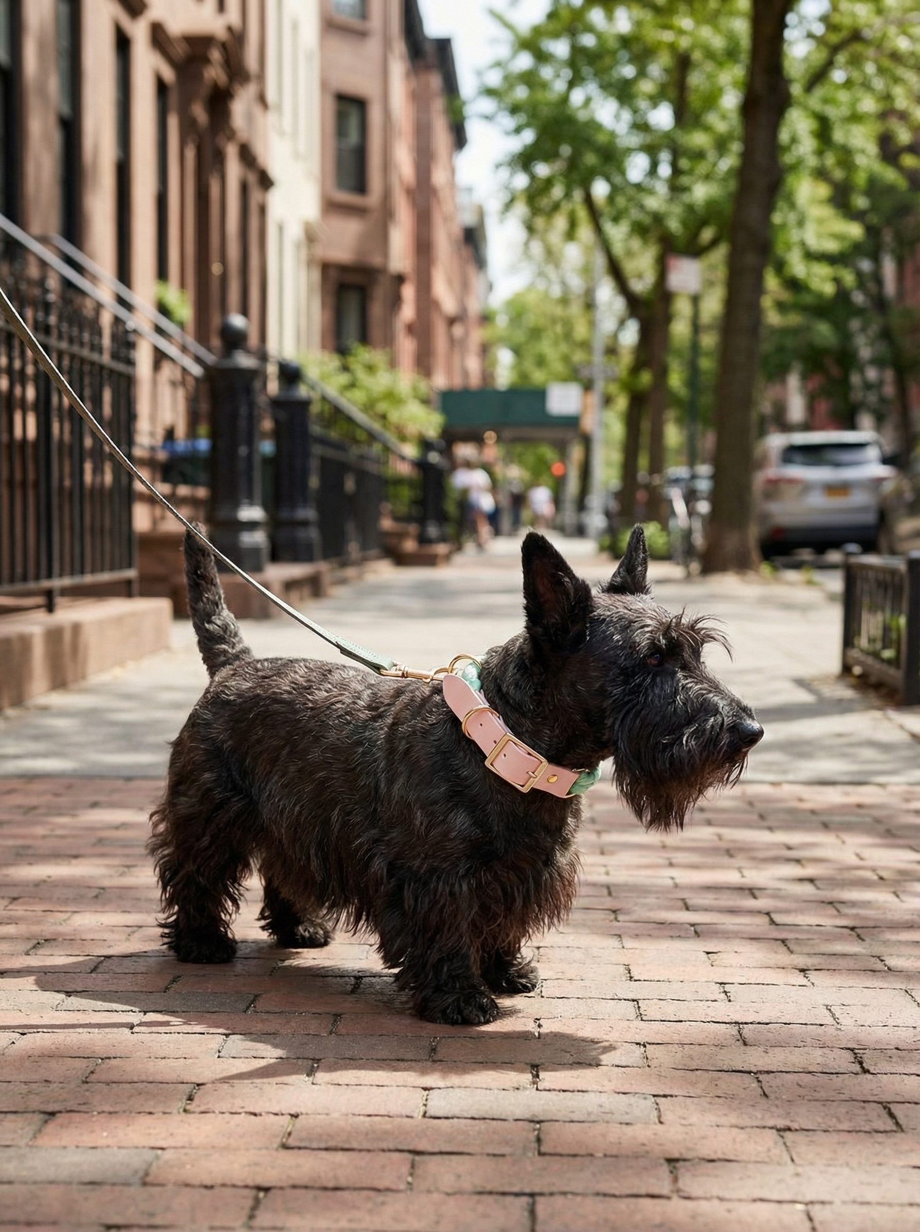 Luxe Royal Leather Rope Collar – Light Green Jade