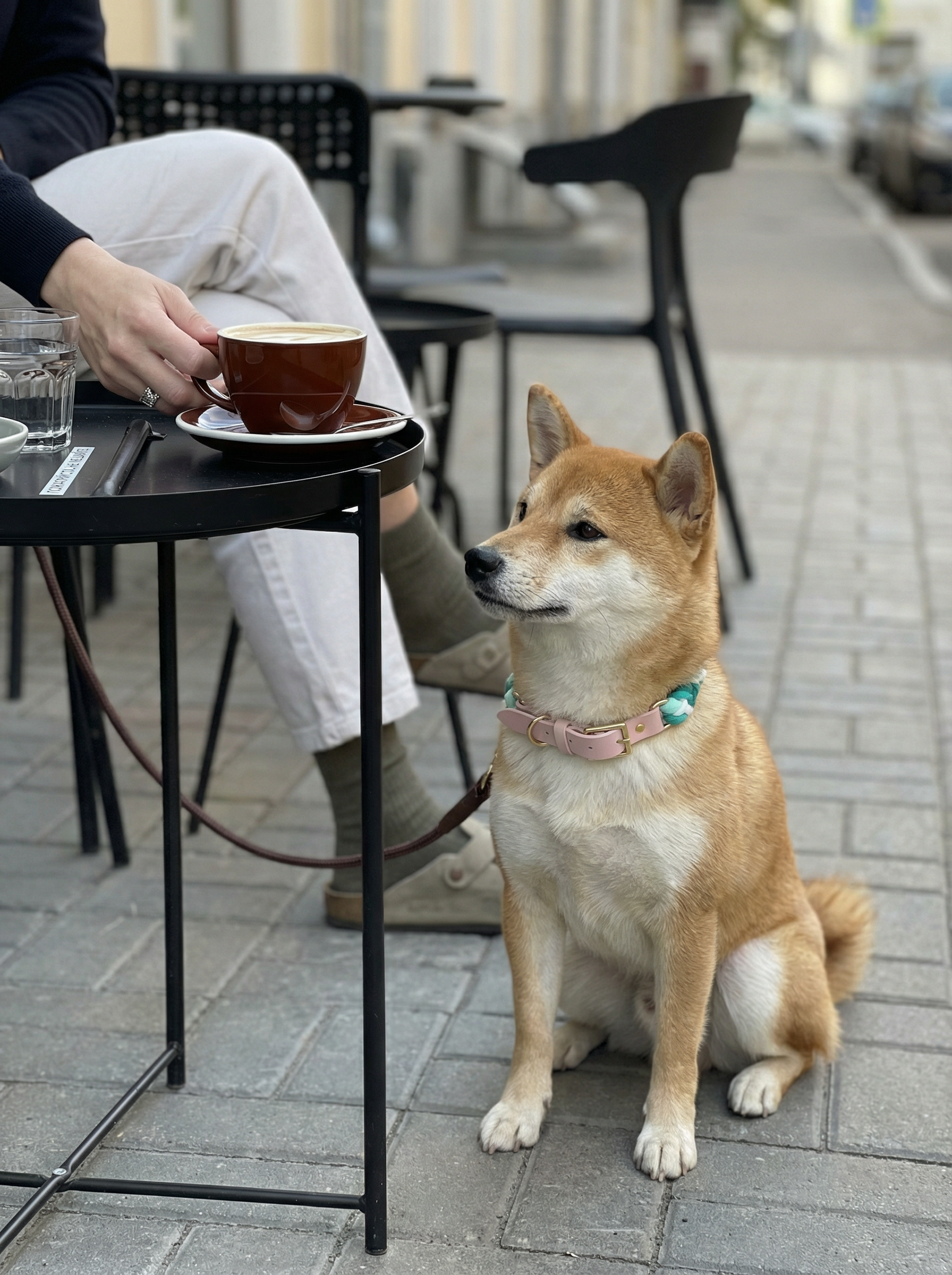 Luxe Royal Leather Rope Collar – Natural