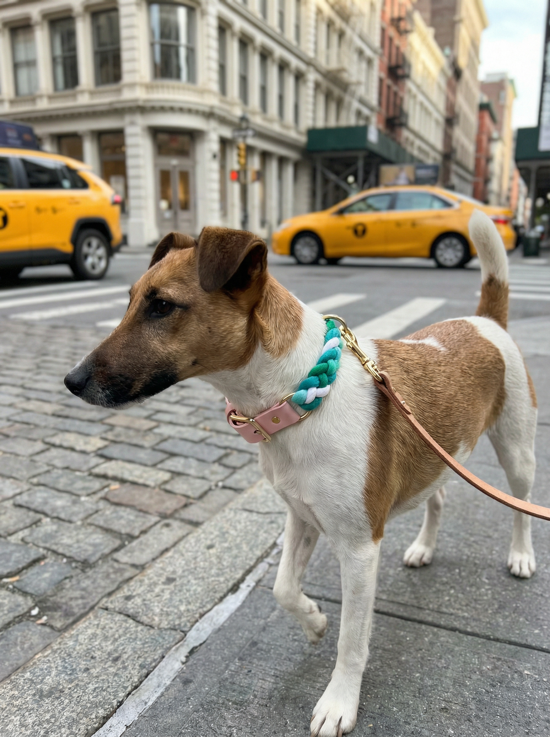 Luxe Royal Leather Rope Collar – Natural