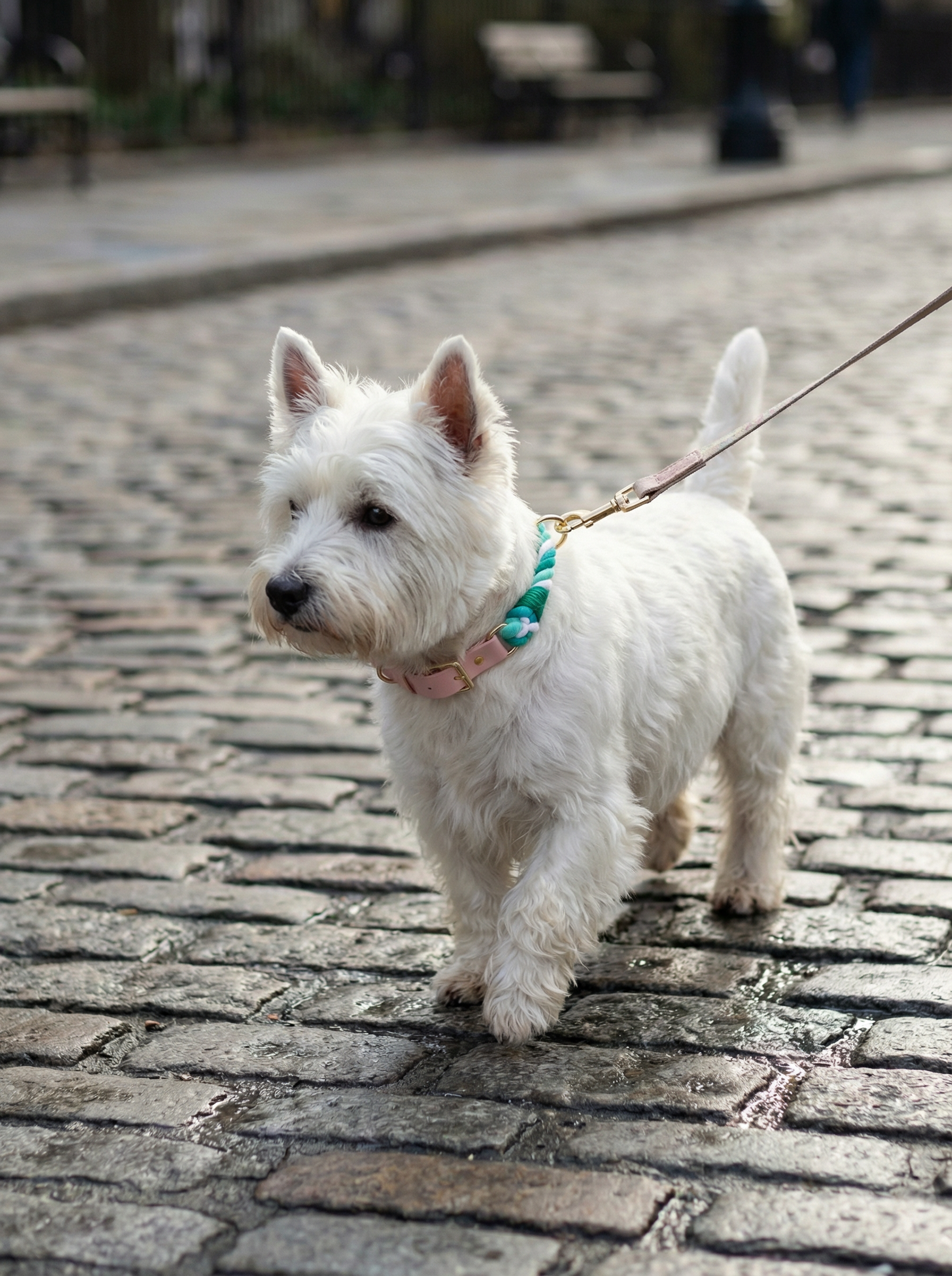 Luxe Royal Leather Rope Collar – Natural