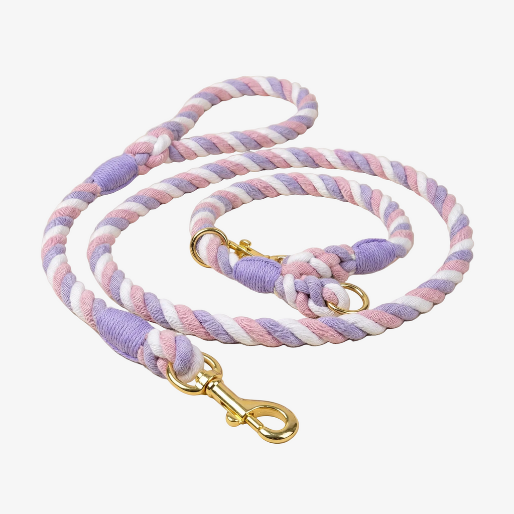 Multicolored braided dog leash with gold clasp on a beige background