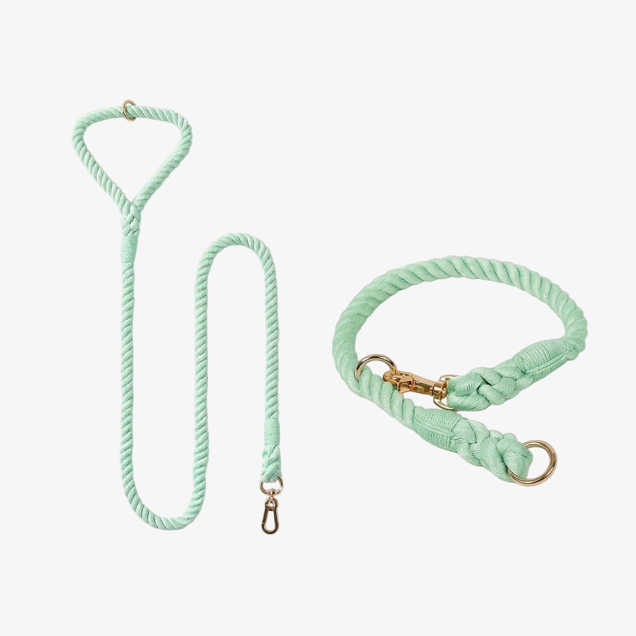 Mint green braided dog leash and collar set on a light gray background