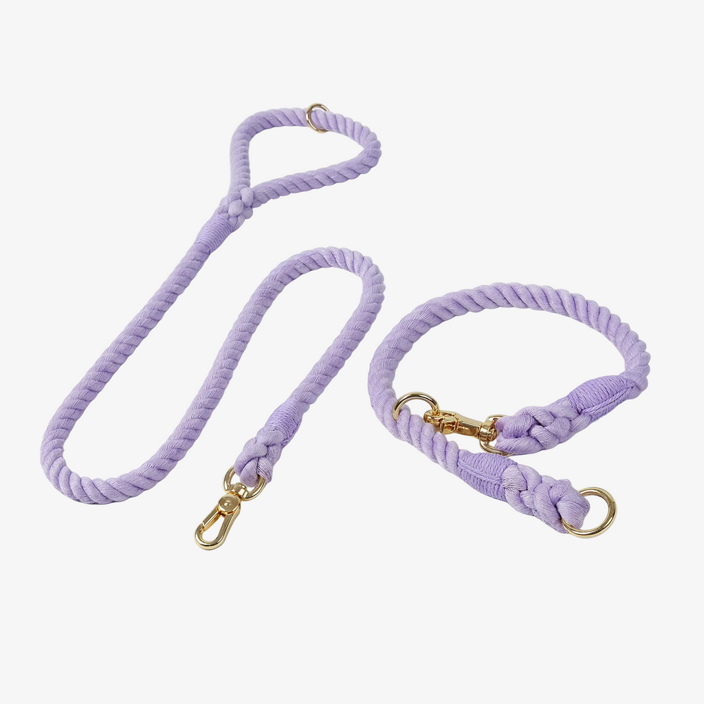 Lavender dog leash with gold hardware on a light gray background