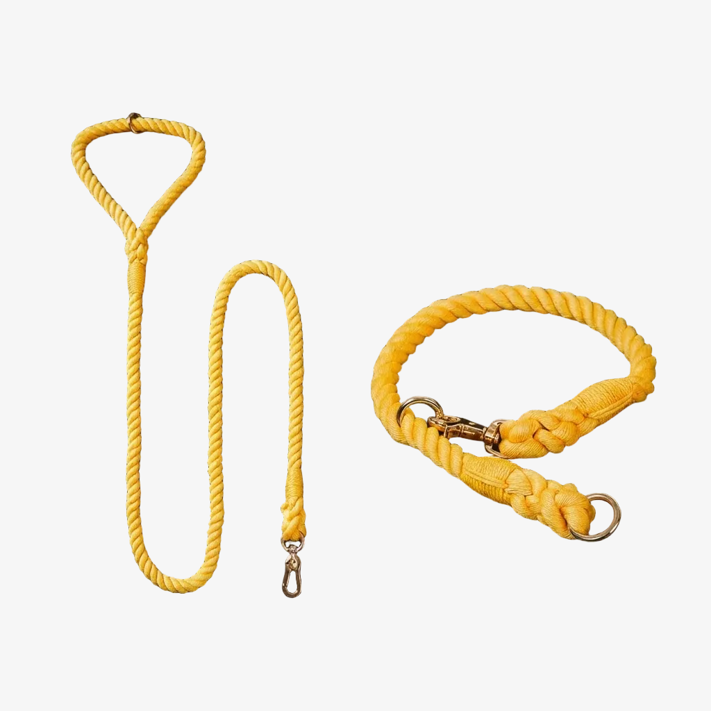 Dog Rope Leash & Collar Set – Golden Garden