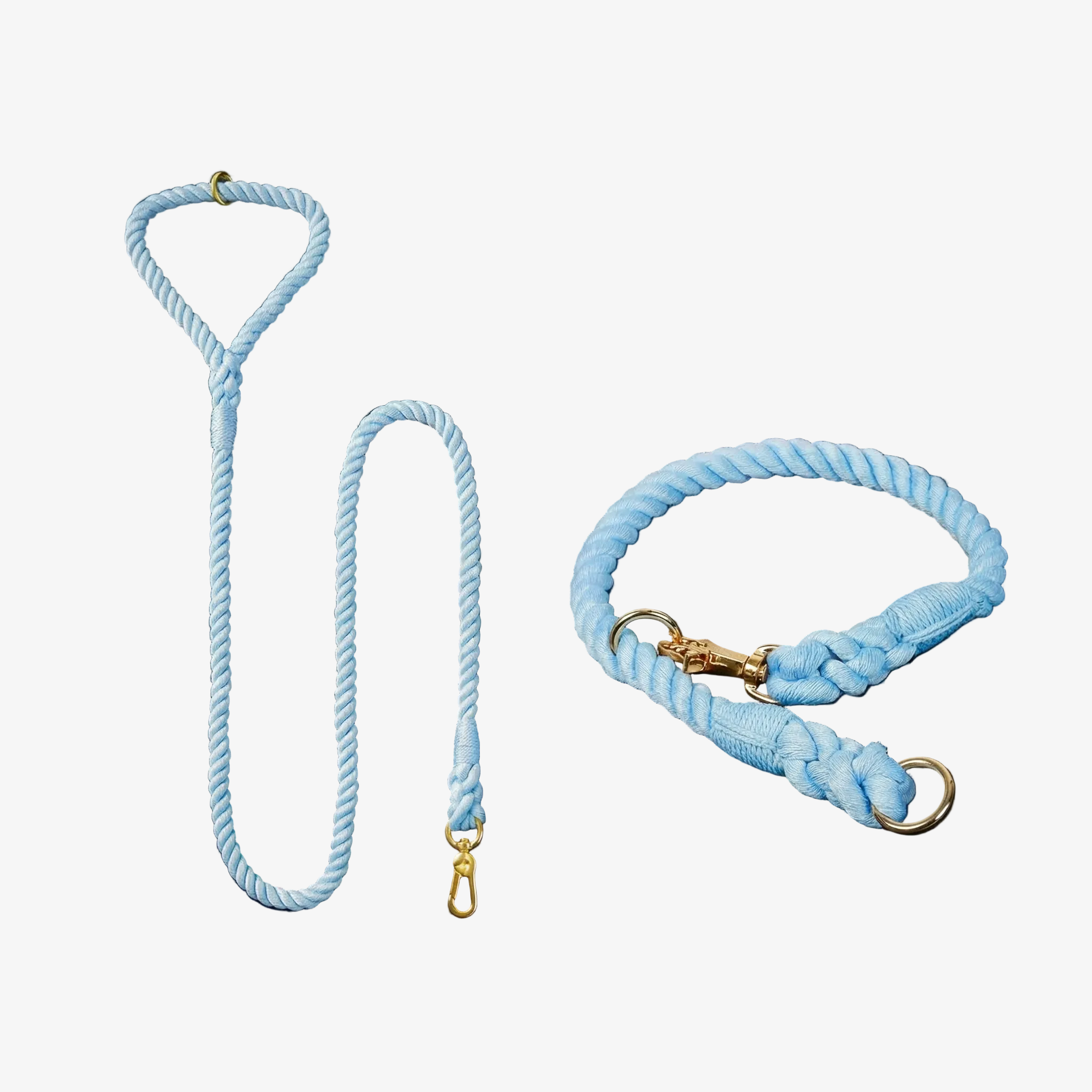 Blue dog leash and collar set on a black background