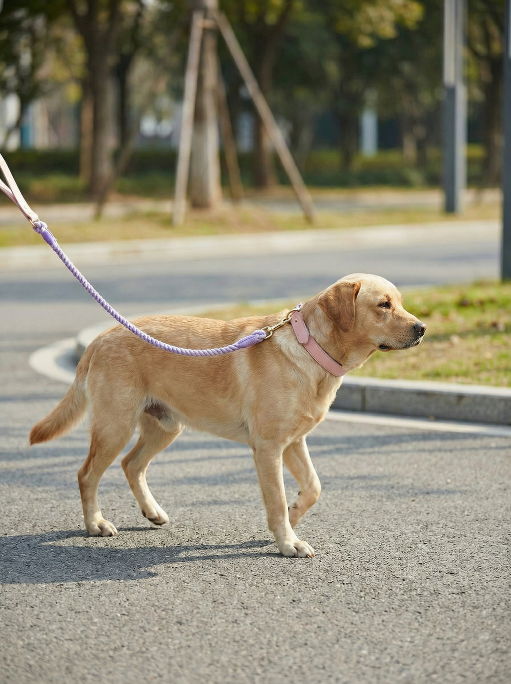 Luxe Royal Leather Rope Leash & Collar Set – Violet