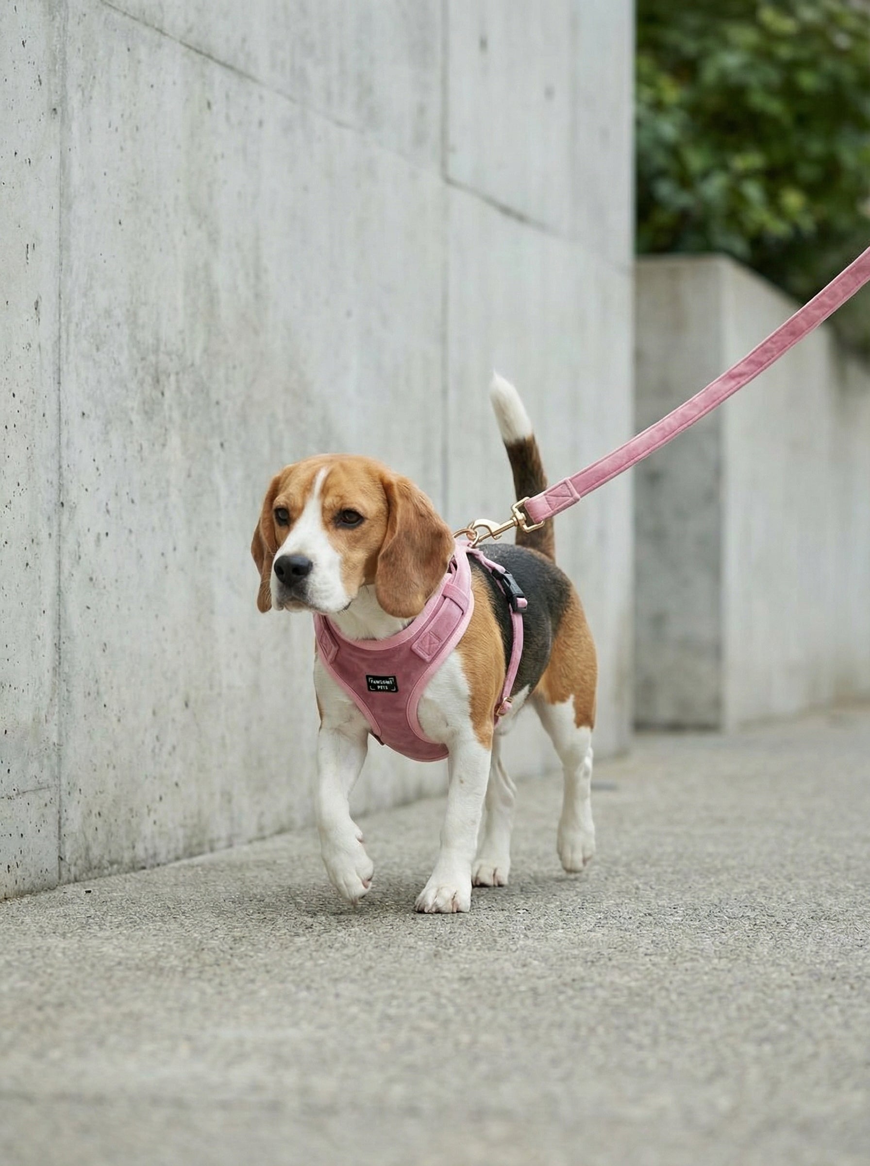 Adjustable Harness  Blossom
