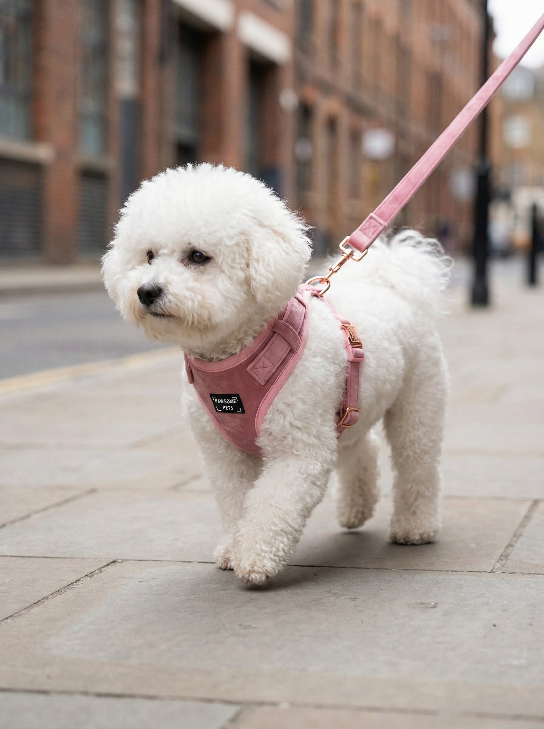 Adjustable Harness  Blossom