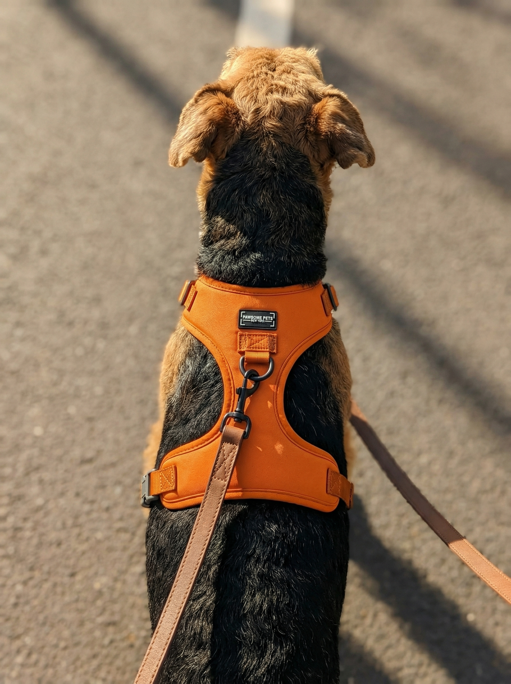 Adjustable Silk Harness Orange
