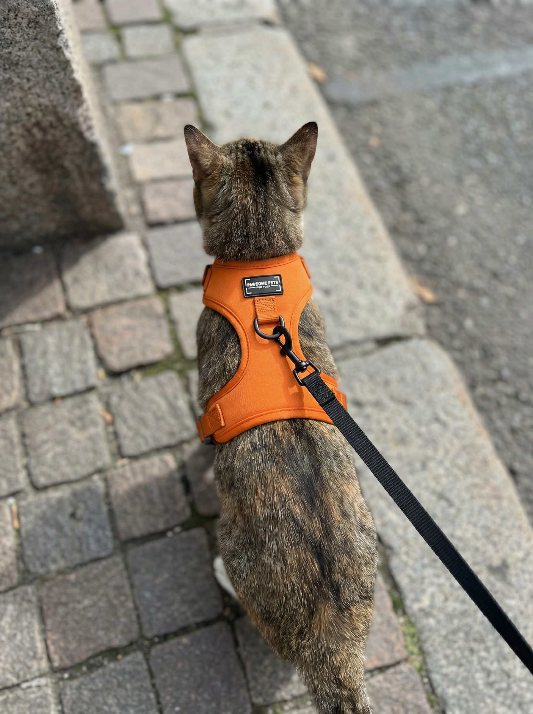 Adjustable Silk Harness Orange