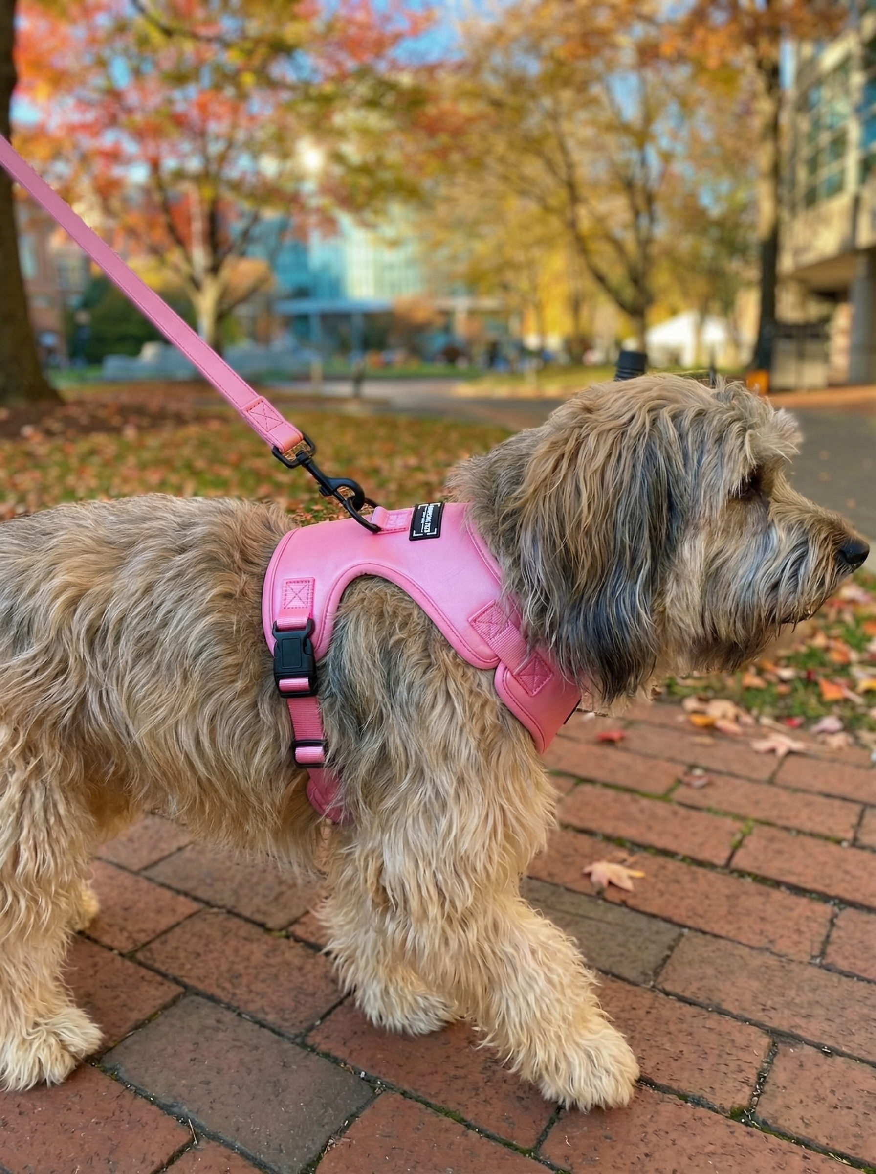 Adjustable Silk Harness Pink